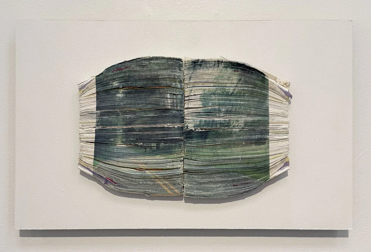 Julianna Hunter, "where things grow 4," paper sculpture with image transfer, cut tacks, glue and paint, 10 x 16 x 2 inches.