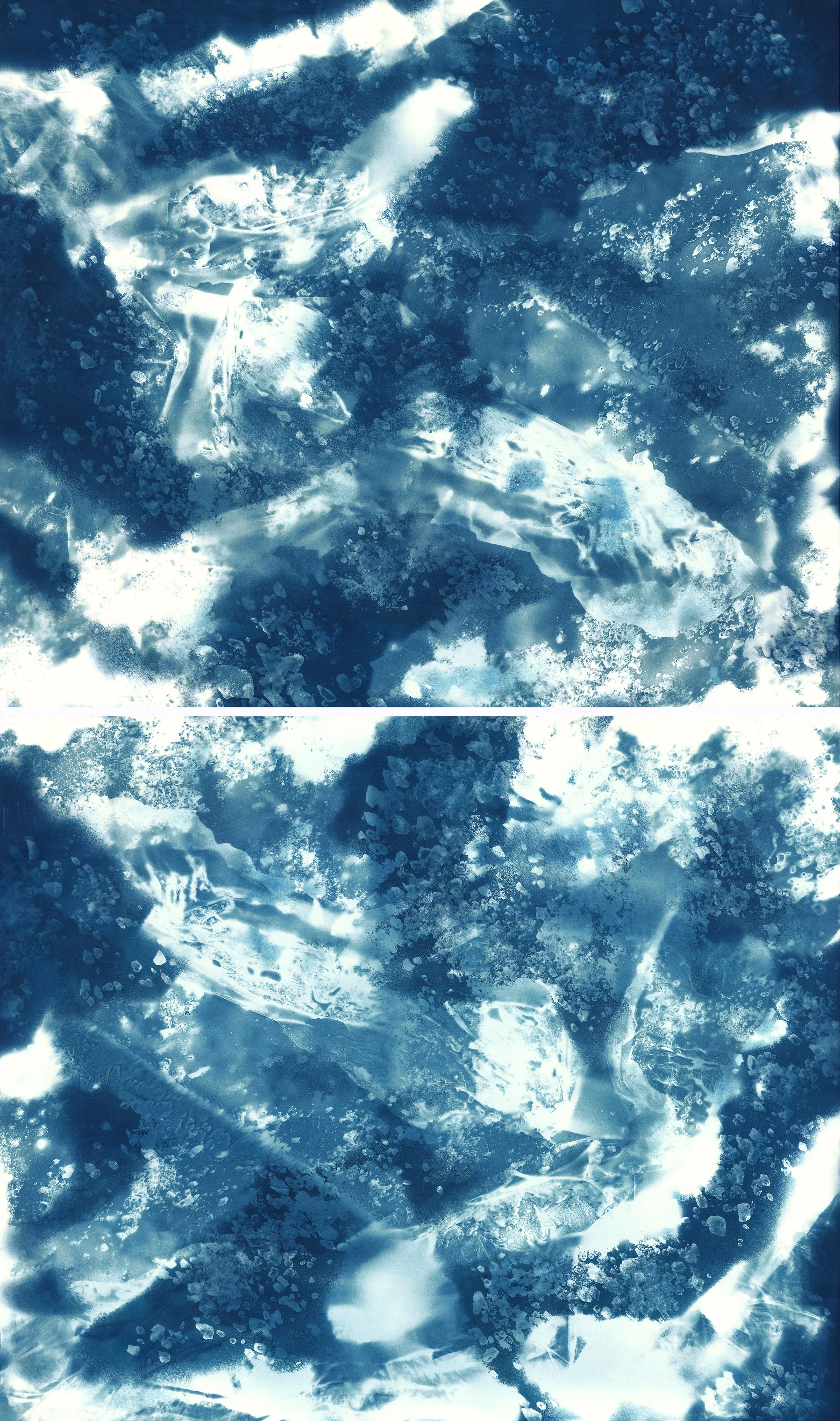 Brent Dedas, "Cosmic Light and Ghosts No. 501," cyanotype, honeybees, earth, construction materials, 78 x 45 inches.