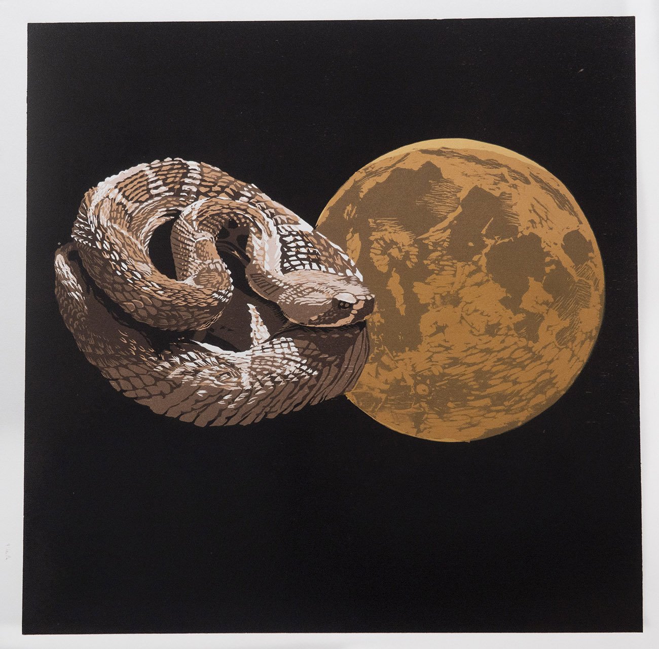 Cheryl Hochberg, "Sonoran Diary II: Rattlesnake," color woodcut with screen print, 25 x 25 inches.