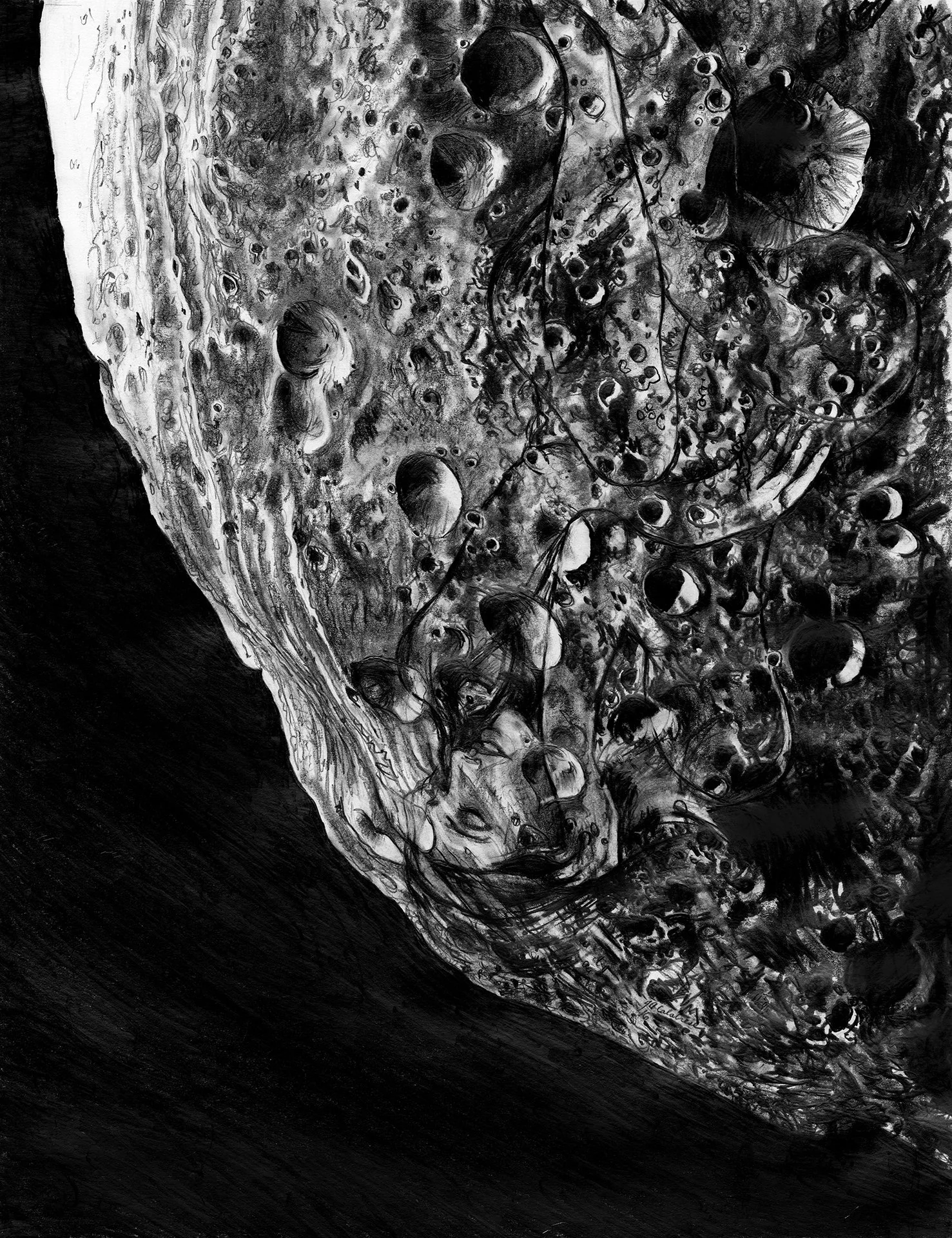 John Calabrese, "Vesta - The Enchanted," graphite on paper, 20 x 16 inches.