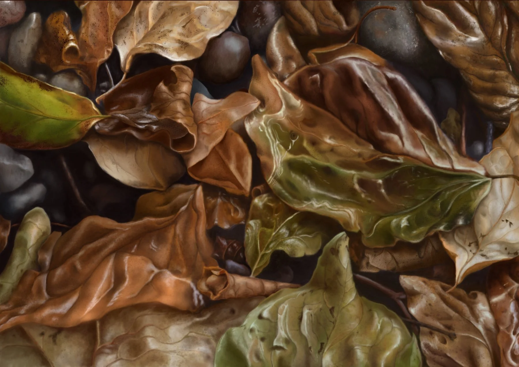 Jamie Bauer, "Roots," digital drawing, 15 x 19 inches.