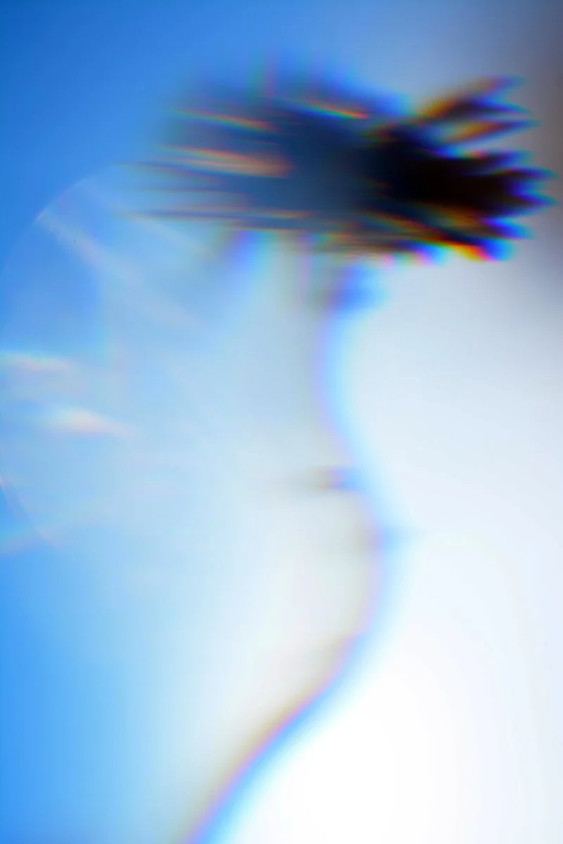 Daniel Dienelt, "gifts from the sky series", photography, 10 x 8 inches.