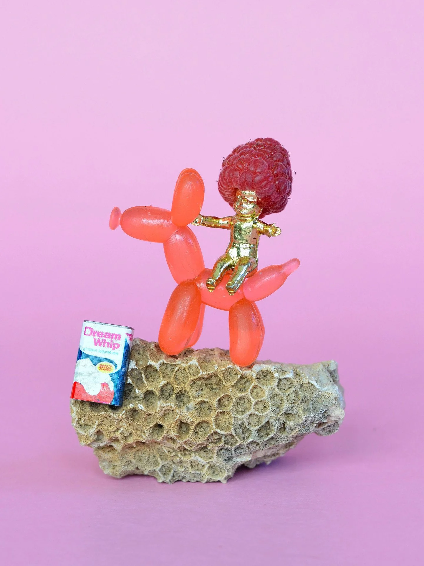 Marie Gardeski, "Still Life With Fossil", digital photograph of balenced objects, 12 x 9 inches