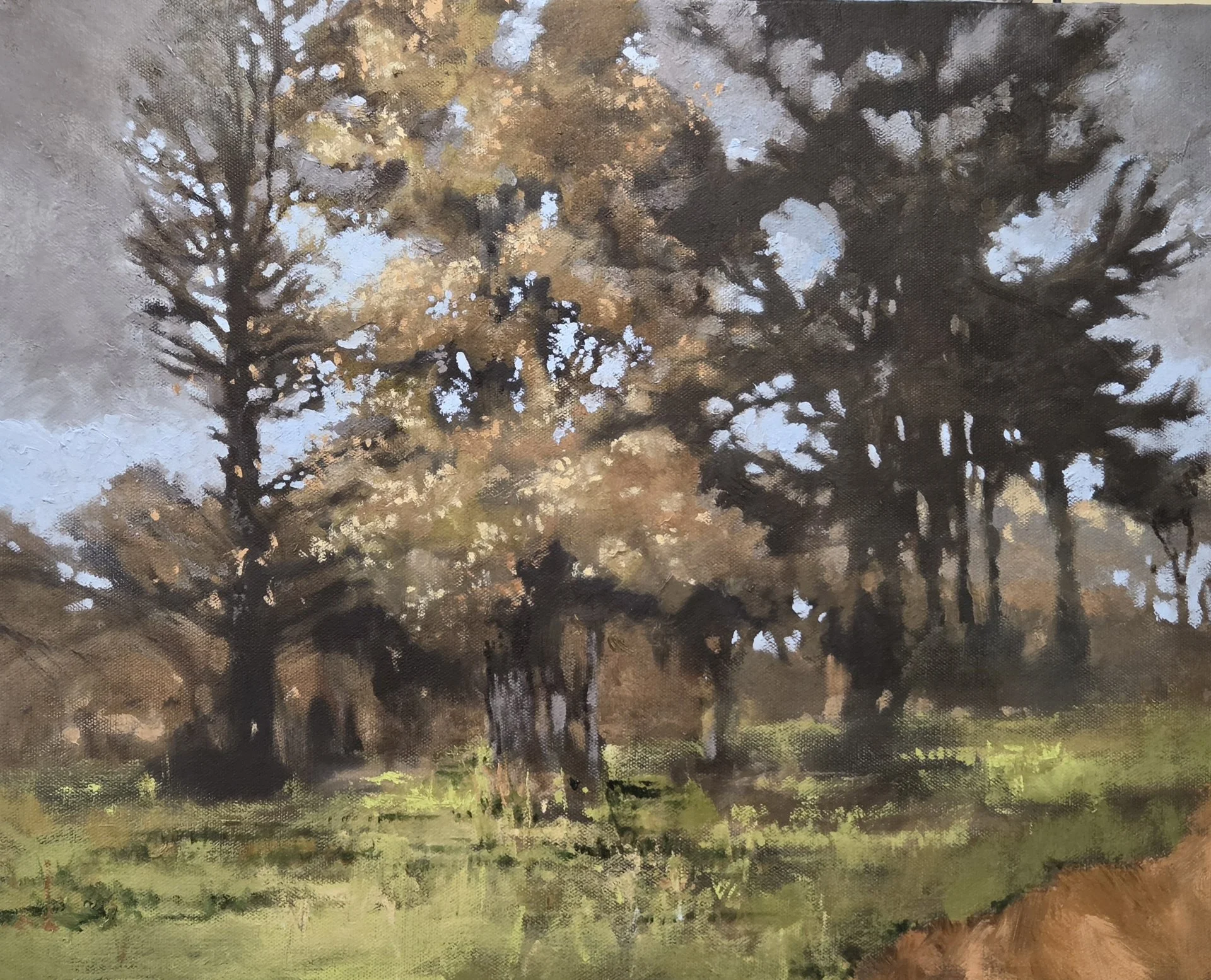 Chad Wooters, "Late Fall Light Breeze," oils, 16 x 20 inches.
