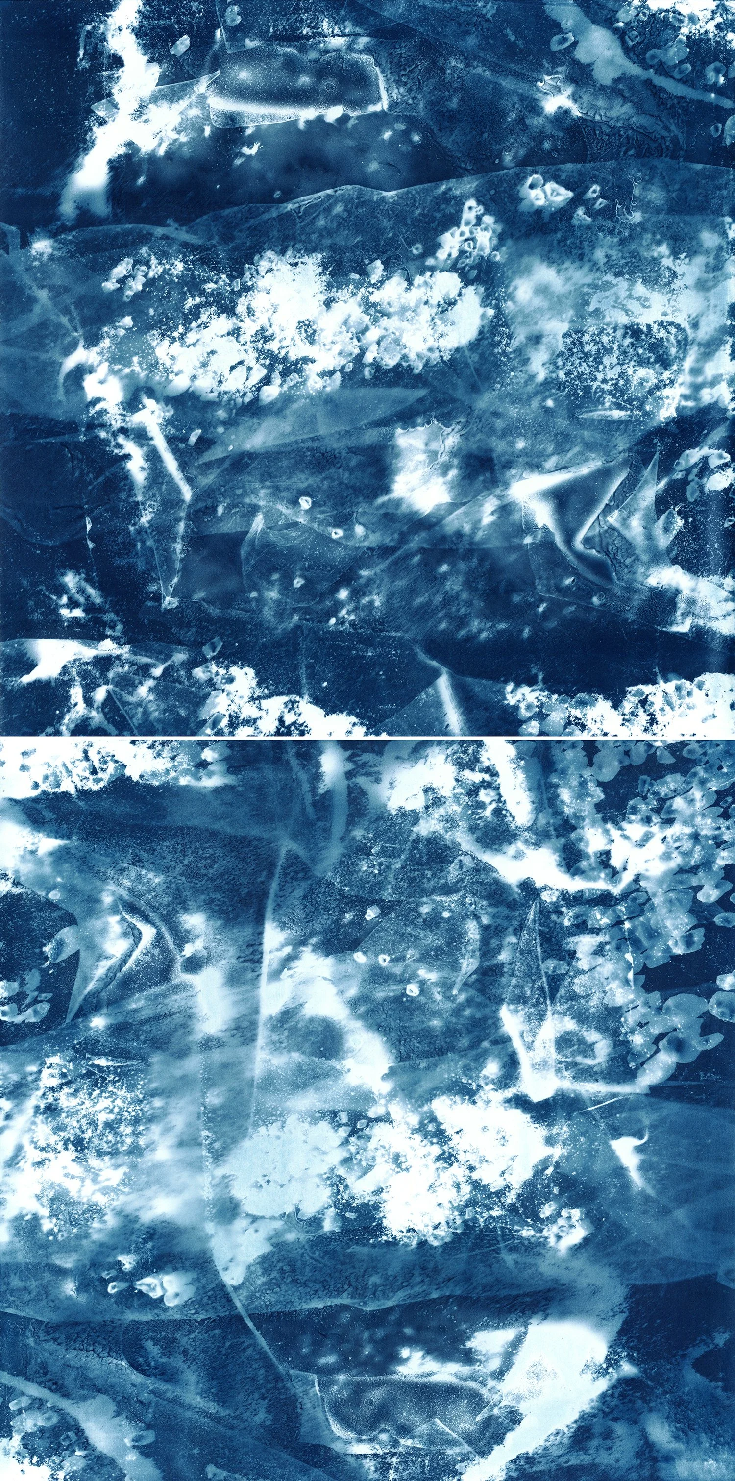 Brent Dedas, "Architecture and Tears of Ra No. 311," cyanotype, honeybees, earth, construction materials, 74 x 36 inches.