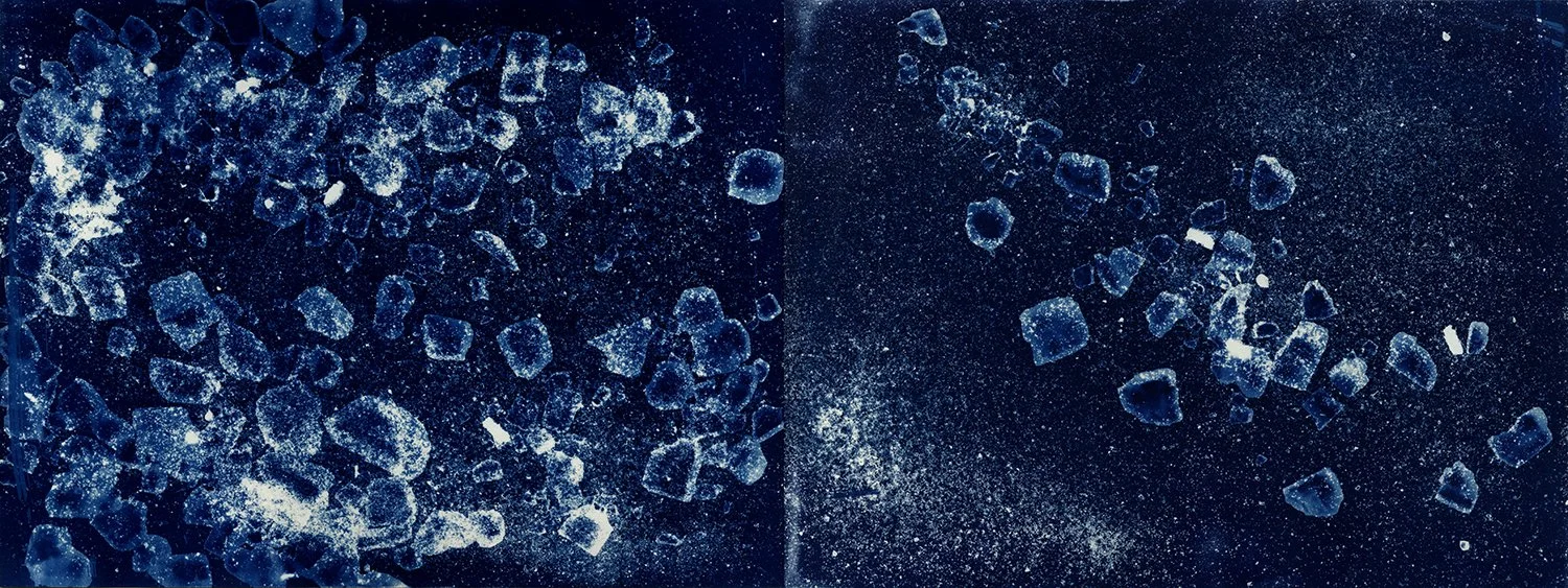 Brent Dedas, "Light, Time, Labor, Dust No. 102," cyanotype, dead honeybees, earth, salt, 12.5 x 27.5 inches.