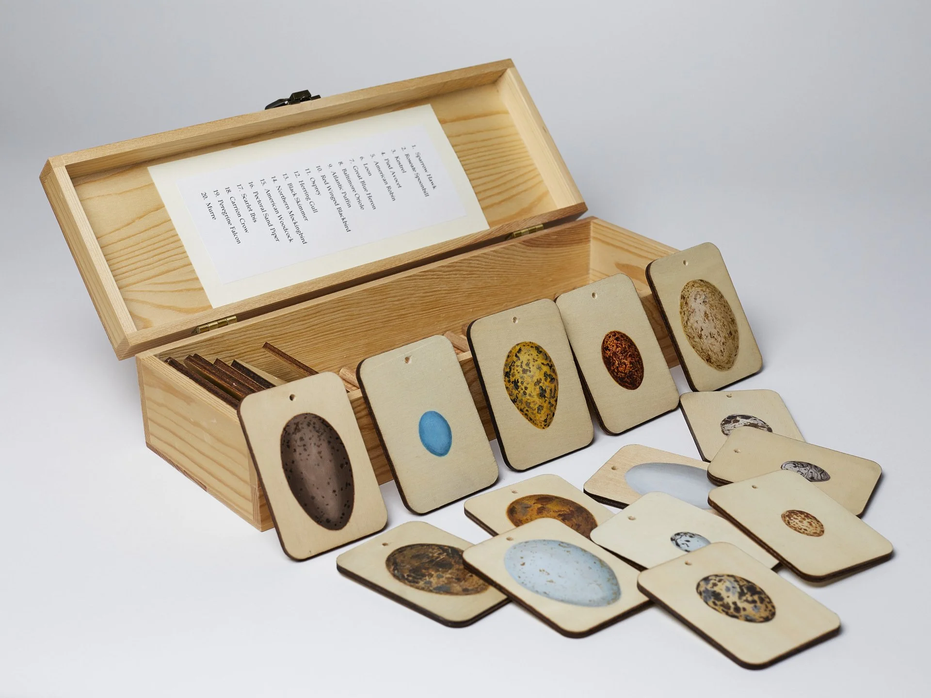 Wendi Smith, "Taxonomy: Eggs," wood box, wood dowels and shapes, acrylic, 3.25 x 4.75 x 13.75 inches.