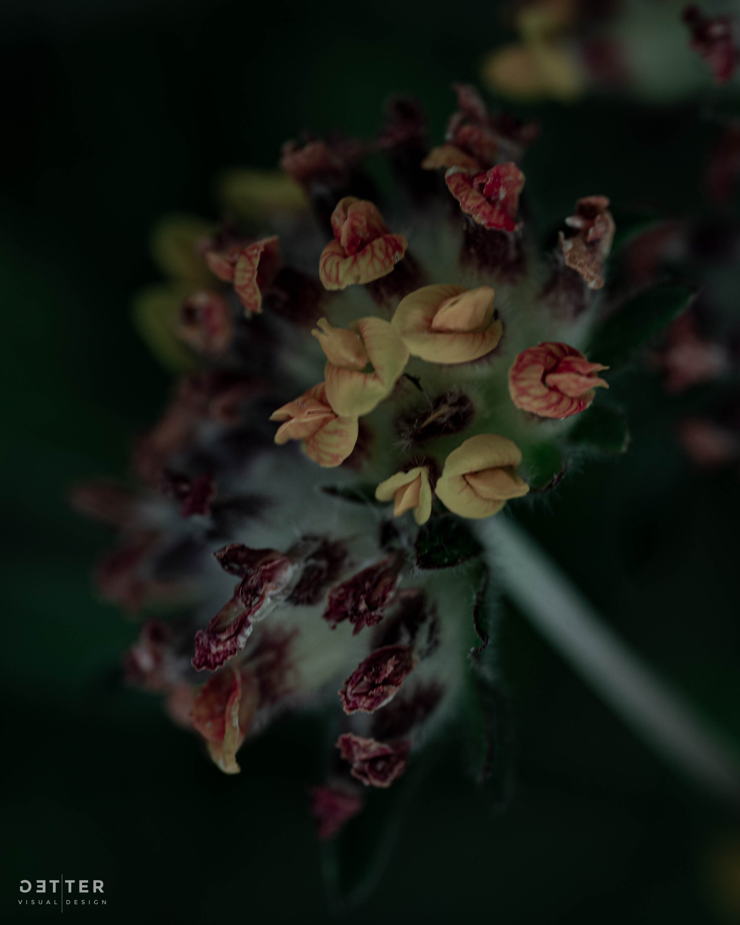 DSC04378.jpg