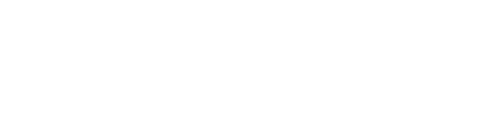 Falconi Capital