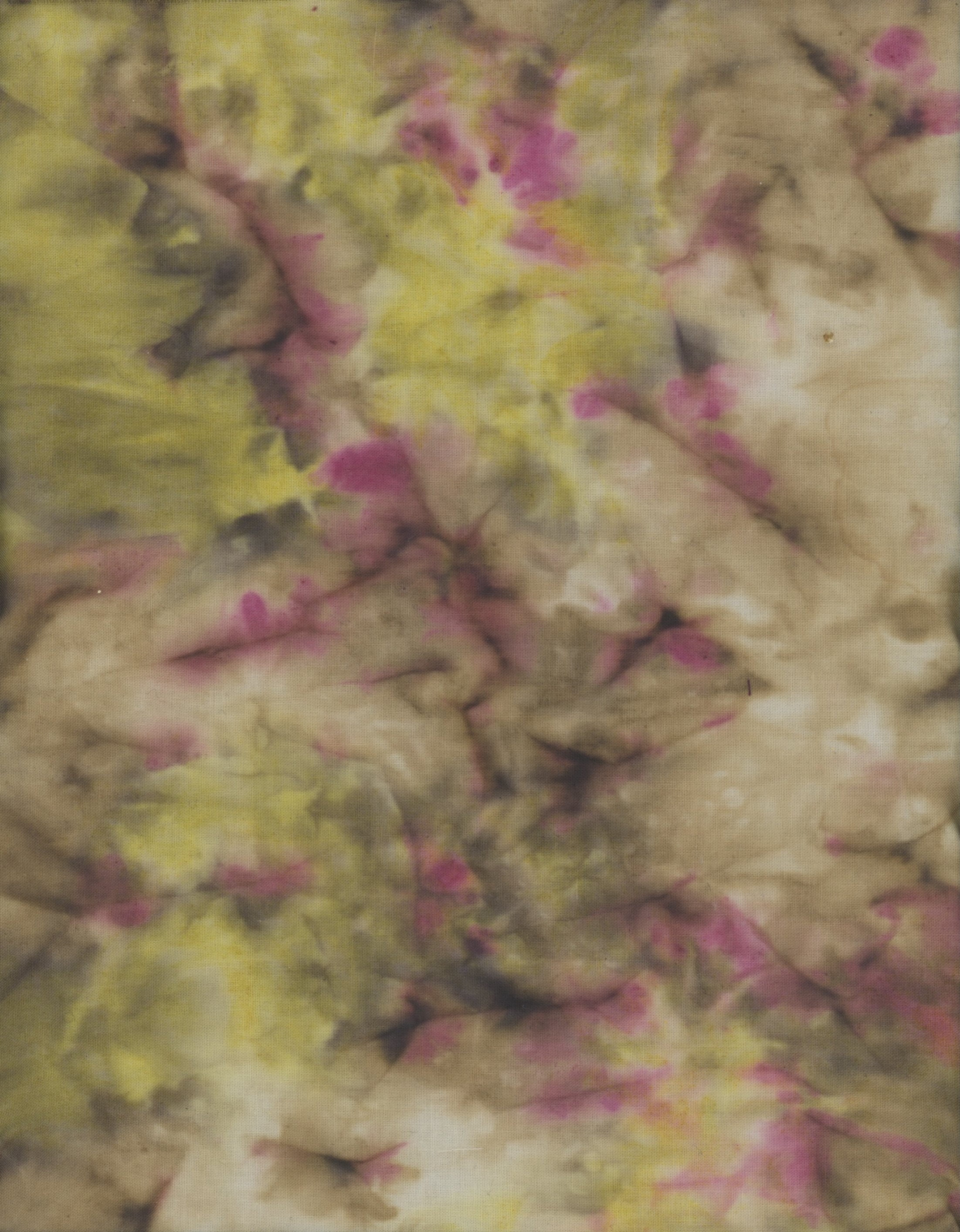 Scan 44.jpeg