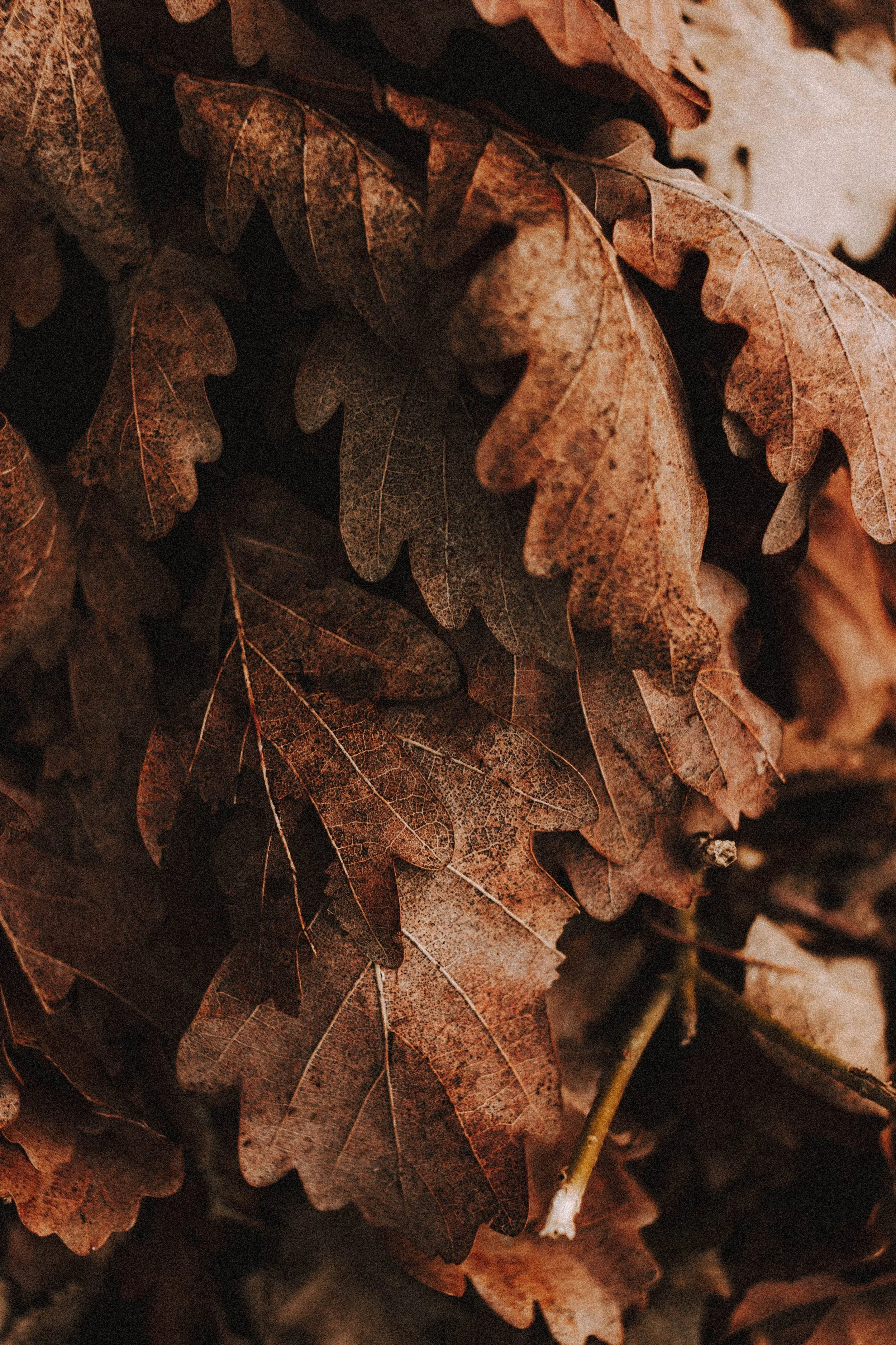 The Seasonal Impact on Air Duct Cleaning: When to Schedule in Grand Rapids
