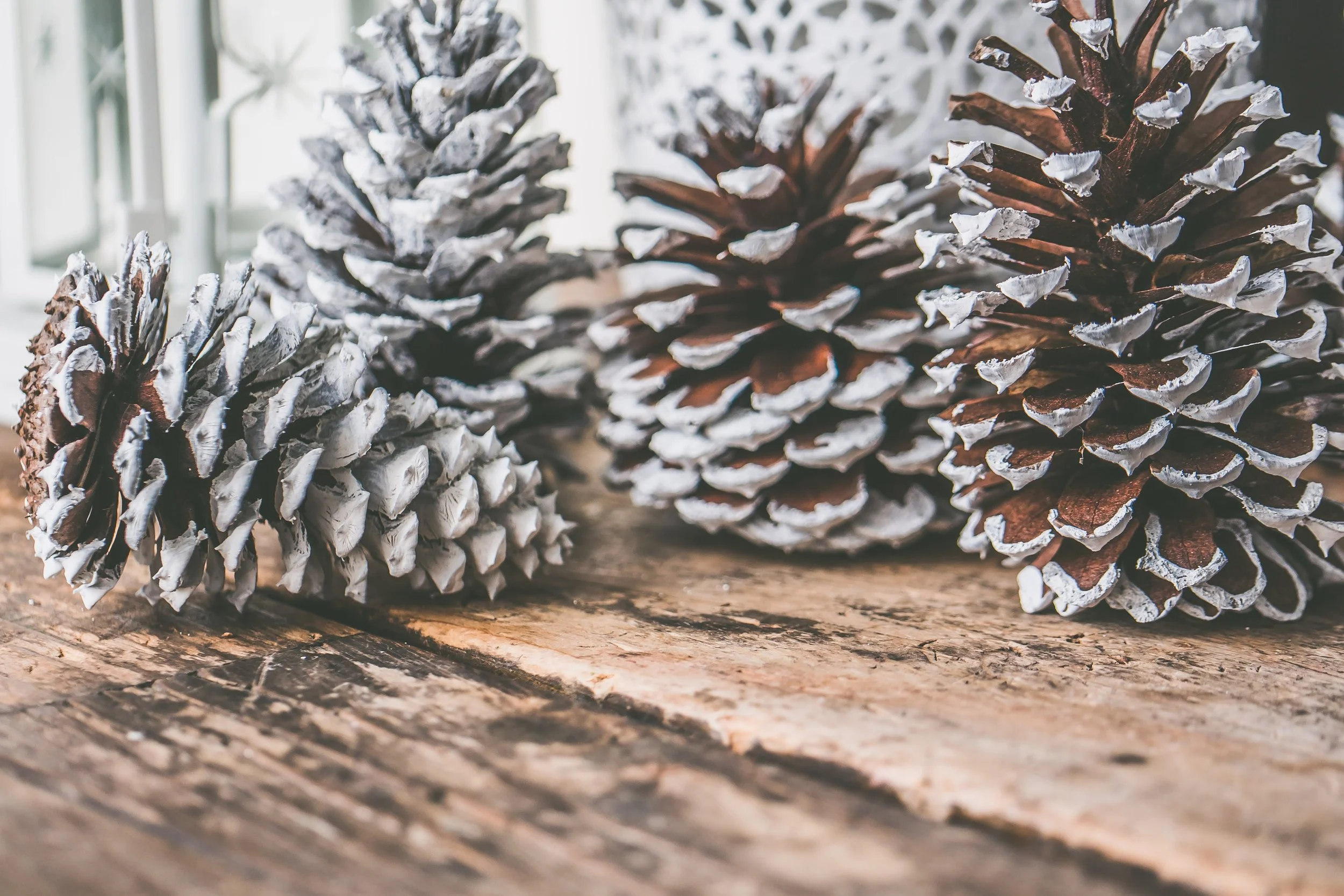 Deck the Halls with Clean Air: Preparing Your Grand Rapids Home for Christmas