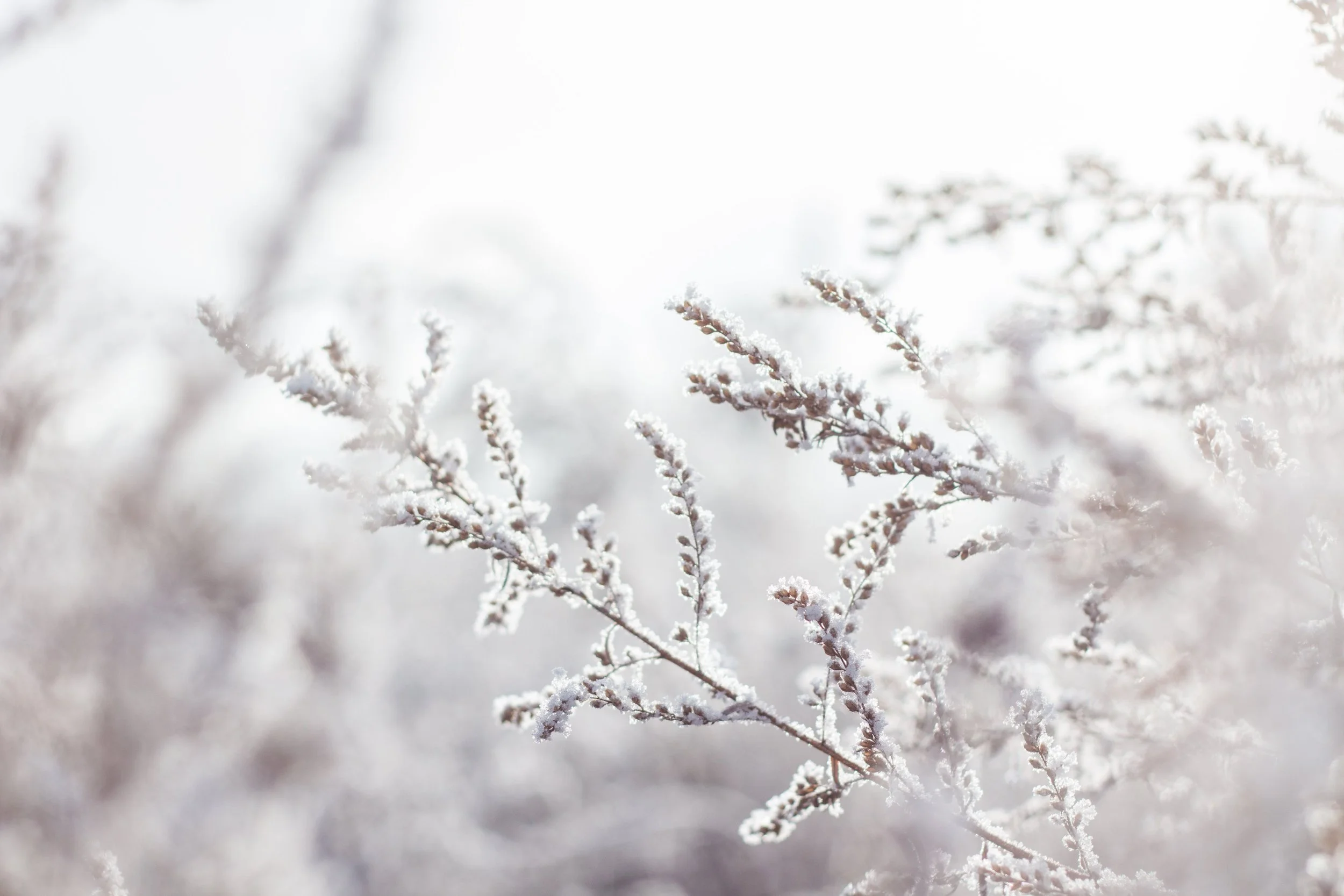 Dryer Vent Safety in Cold Weather