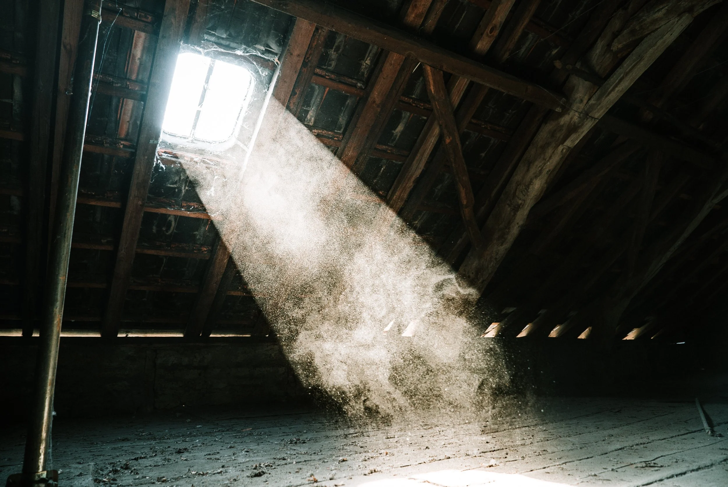 Tackling Dust Mites in Grand Rapids Homes