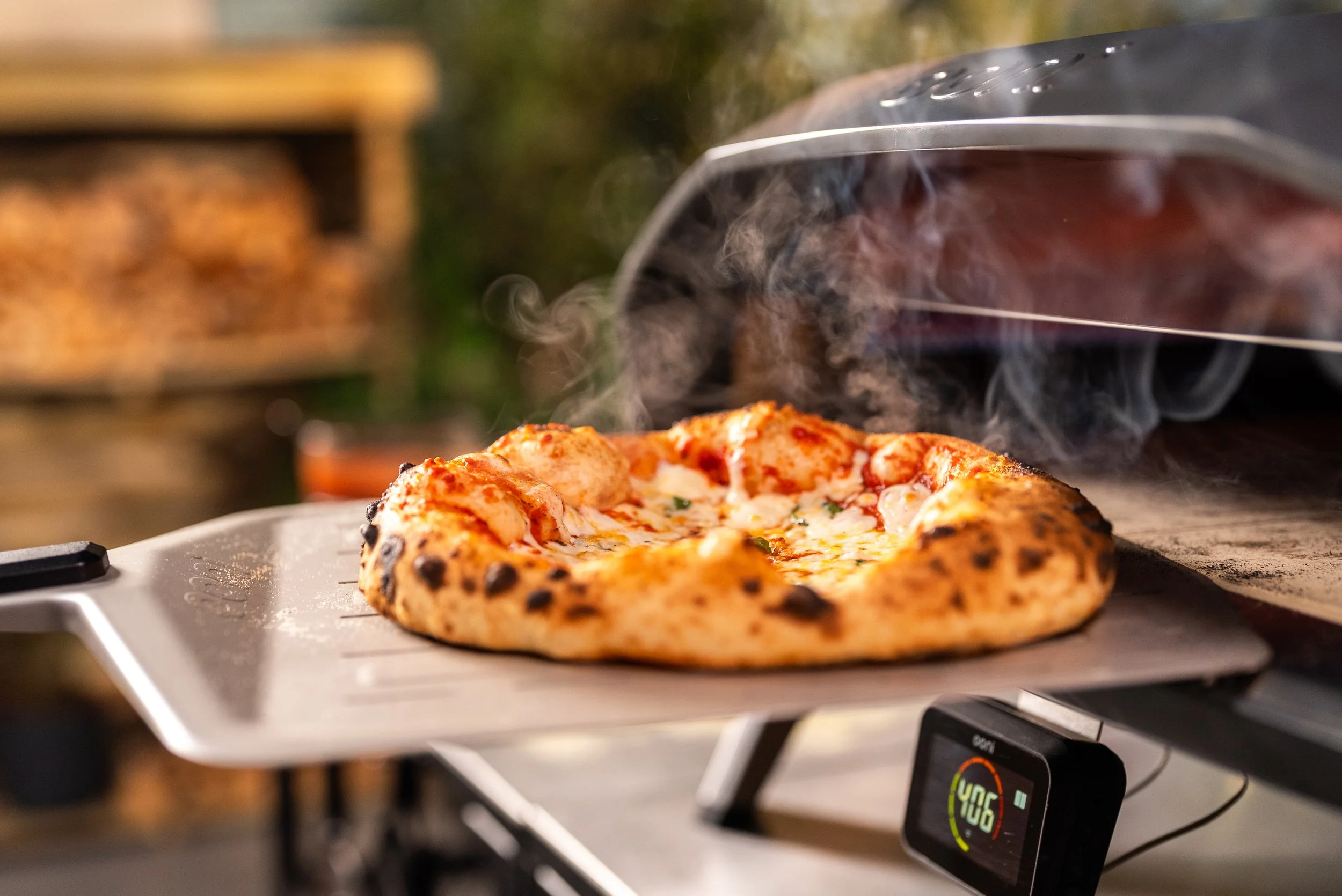Halo Pro Recipe Neapolitan-style Pizza Dough_1.jpg