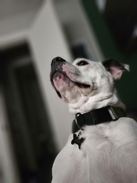 Messages from the Void #1