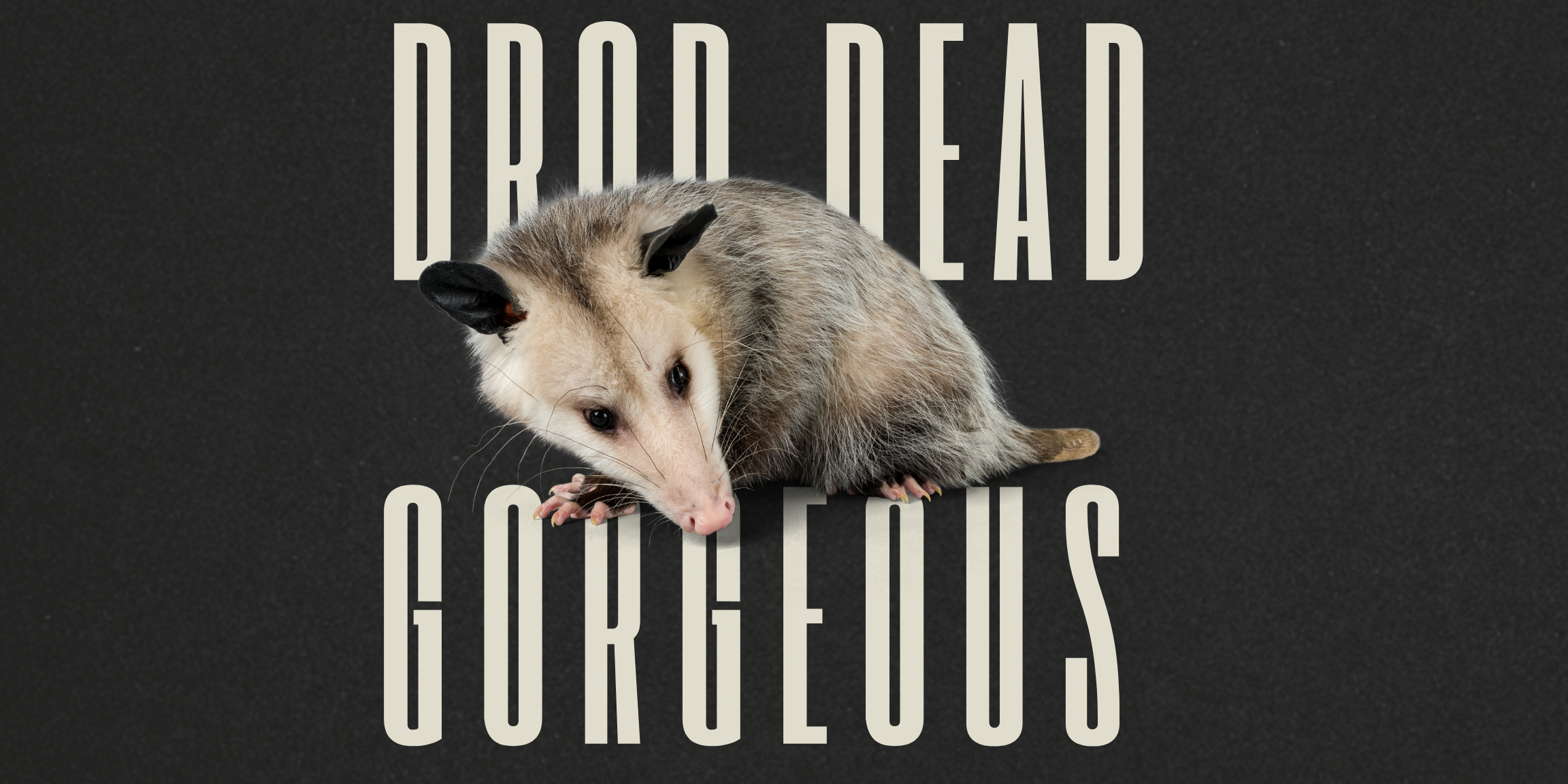 Diamonds in the Rough