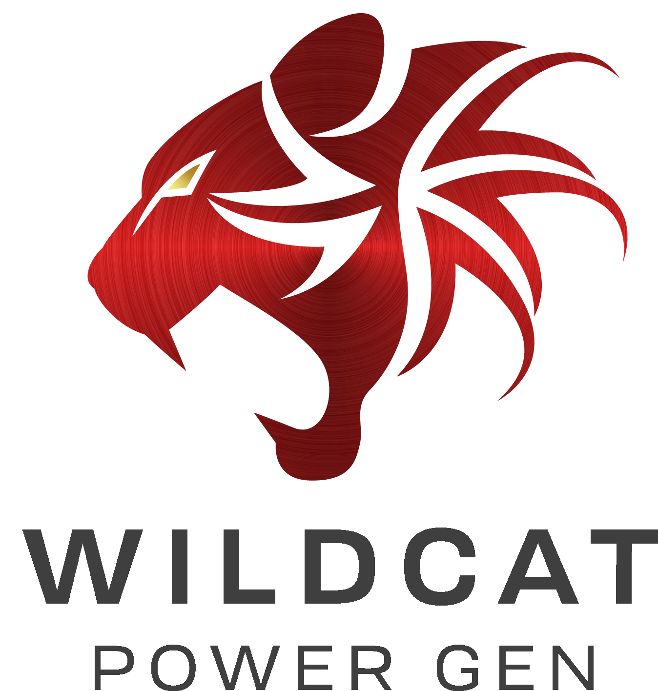 Wildcat Power Gen