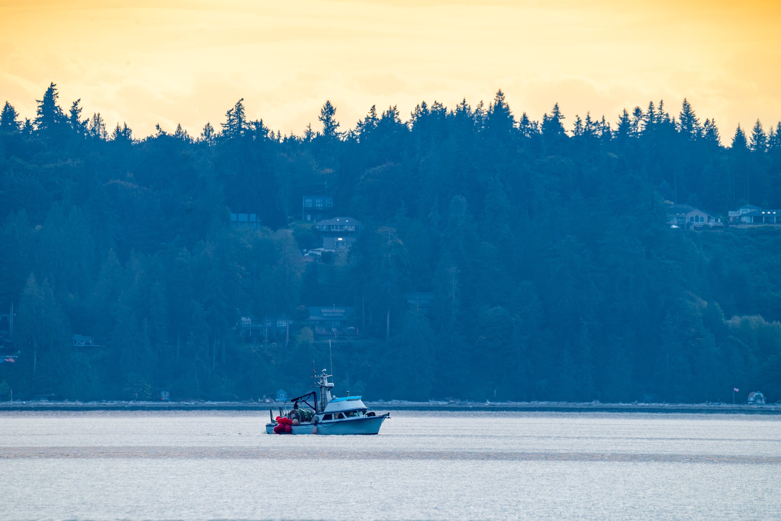 DSC_4315.jpg