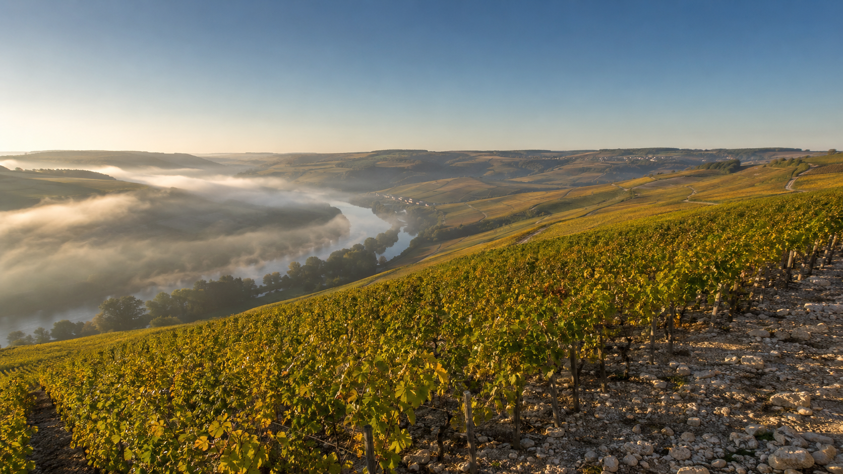 Chablis Has a Name Problem. Order It Anyway.