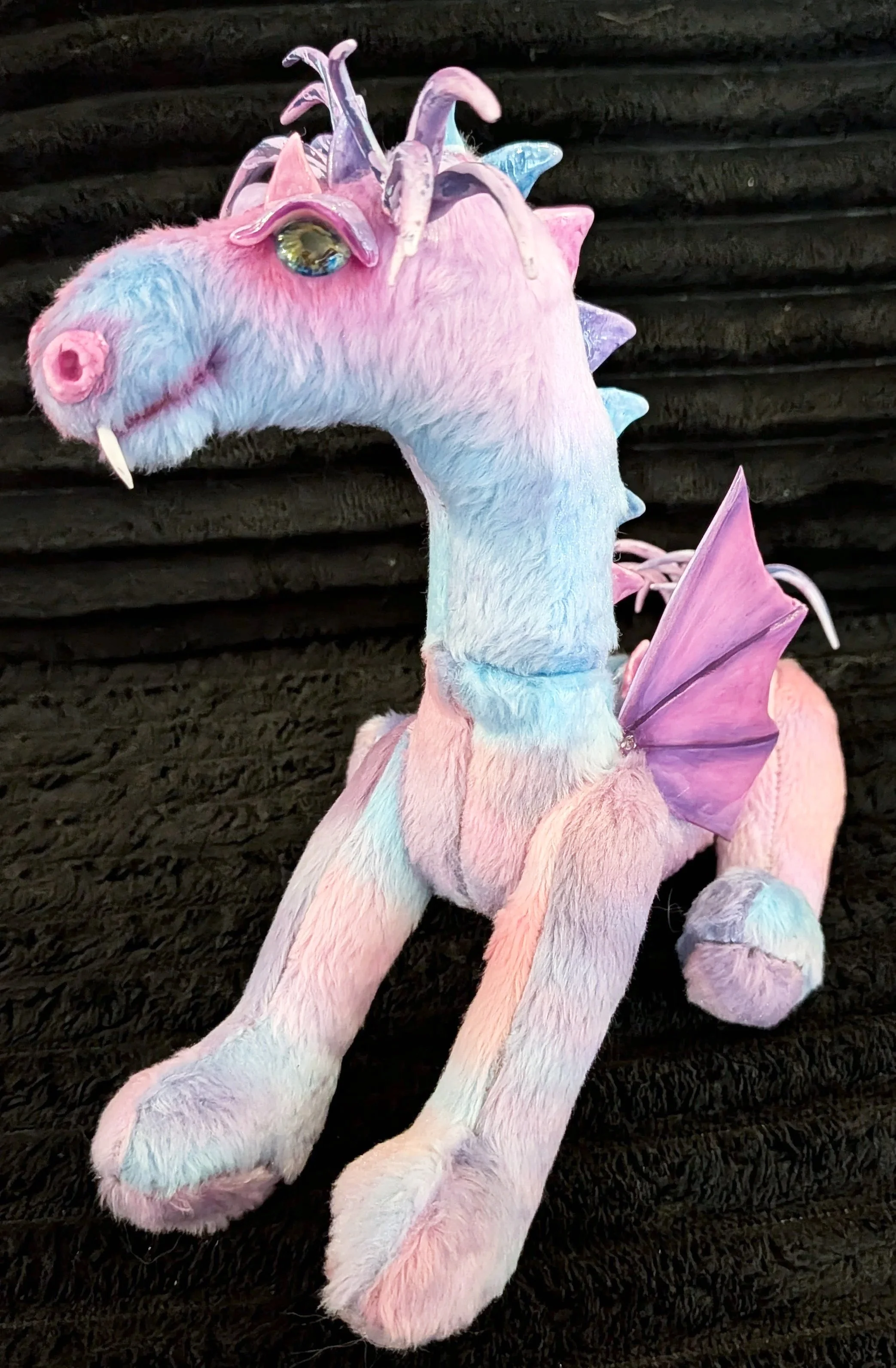 10355.jpg