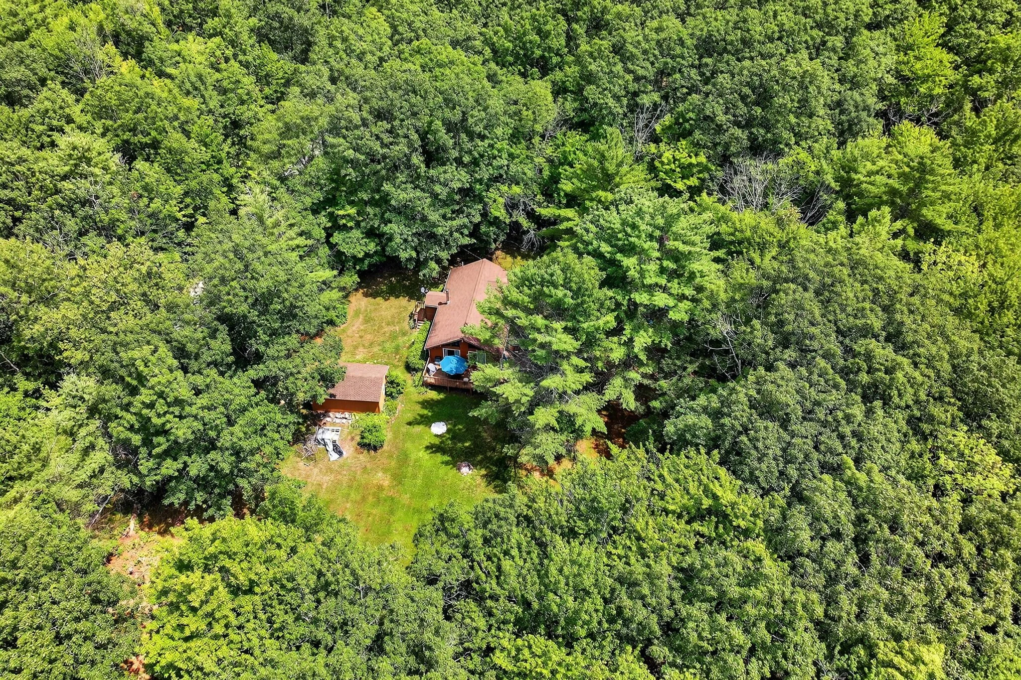 Aerial view of a house surrounded by dense green trees and a grassy backyard with some outdoor furniture and a small shed.
