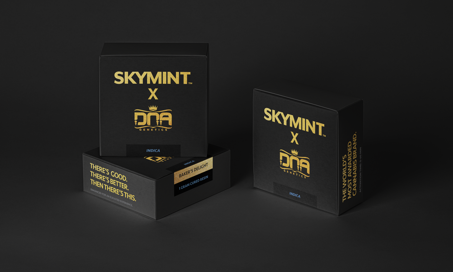 ST_DNA_Concentrate_Box.png