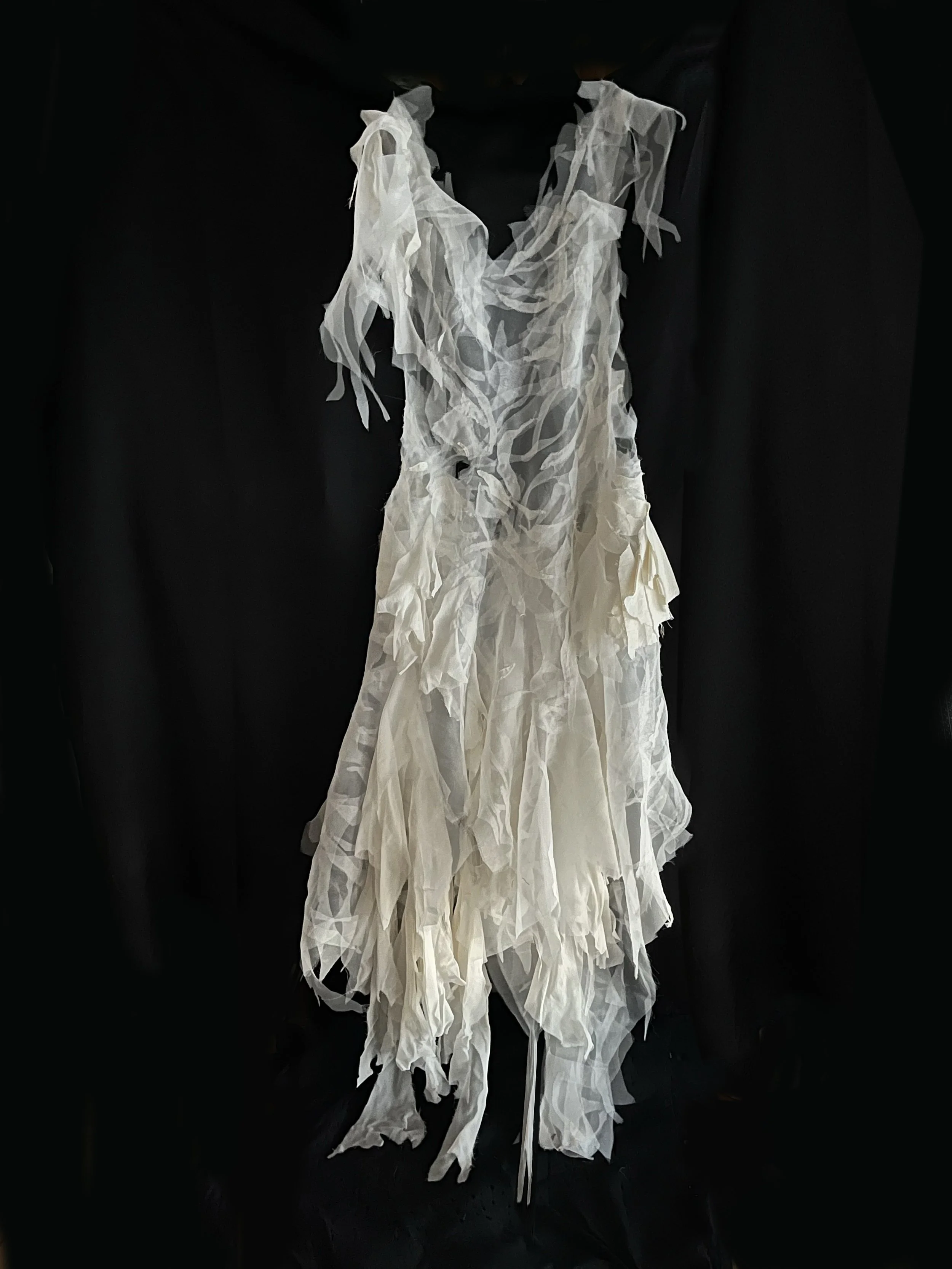 Abyss: 'The Phantom' dress