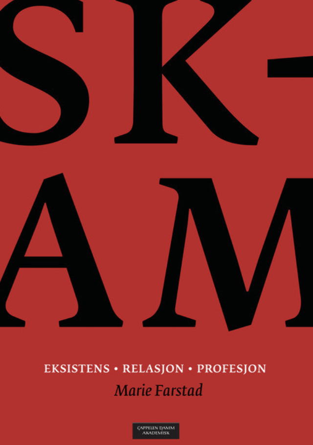 Skjermbilde 2024-05-10 kl. 19.58.56.png