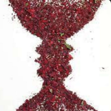 Skjermbilde 2024-10-19 kl. 11.26.53.png