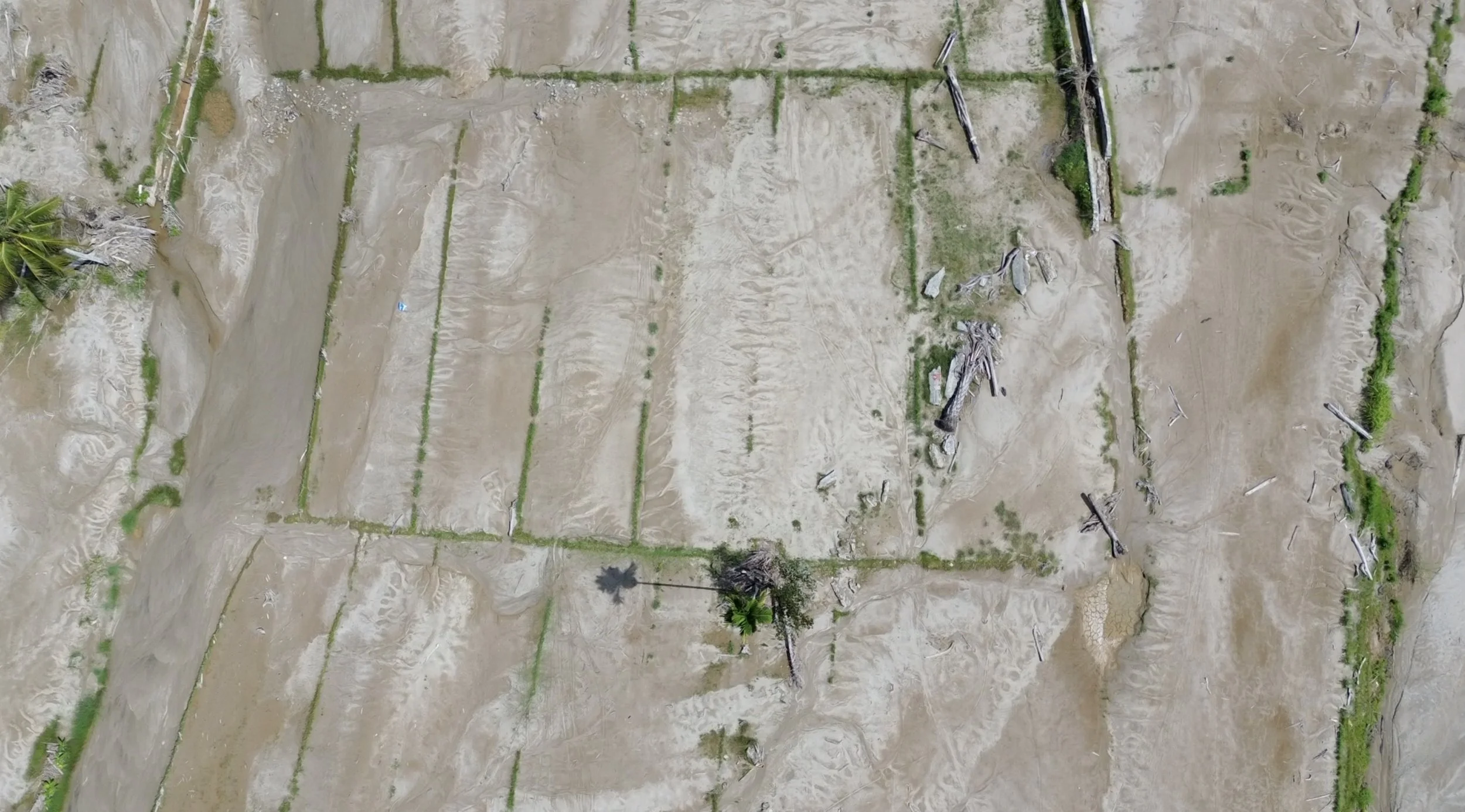 Town landslide 03.jpg