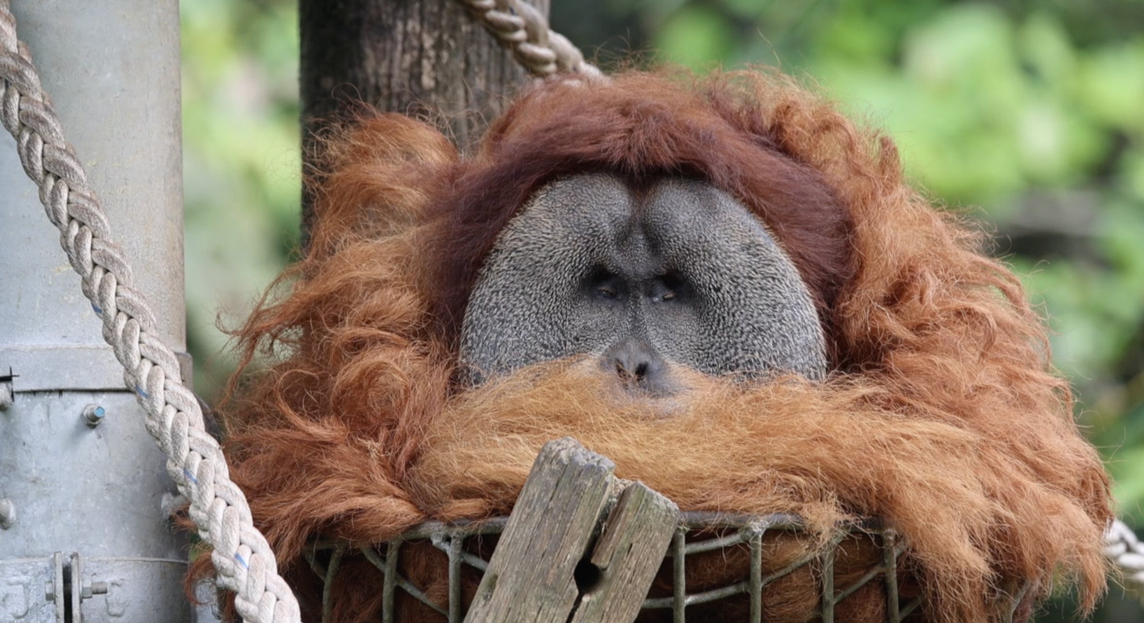 Screenshot 2026-03-13 at 9.14.12 AM.png