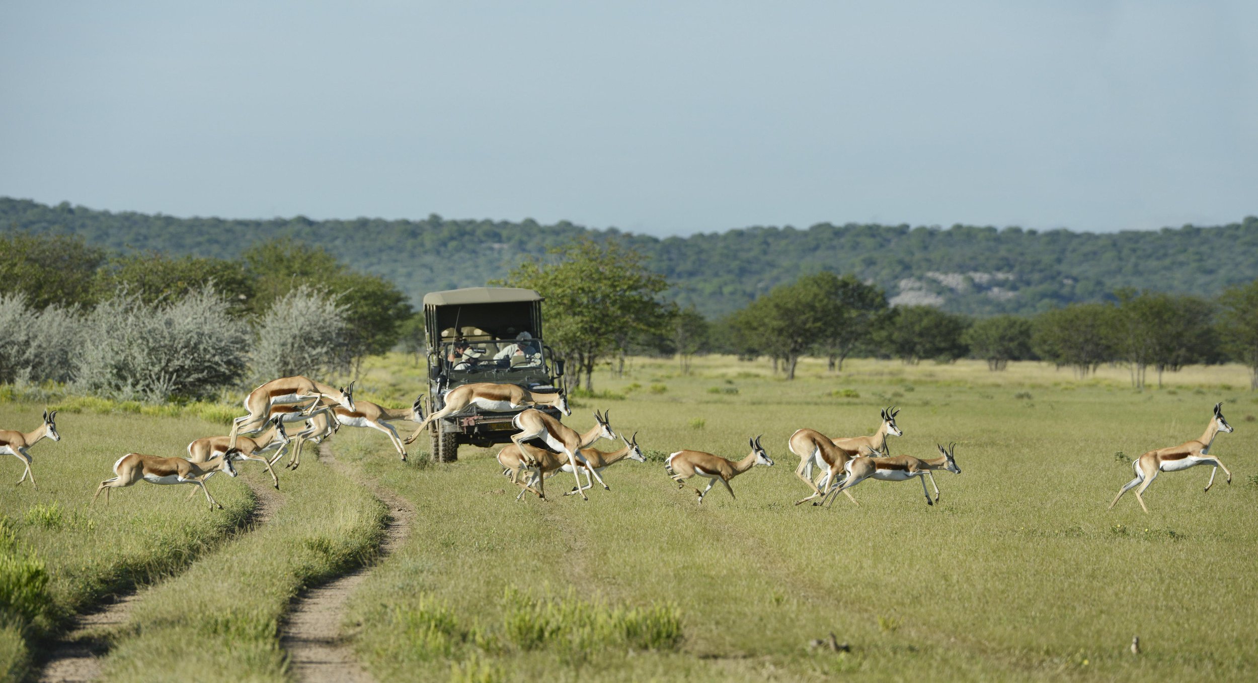 Ongava Game Reserve _10.jpg