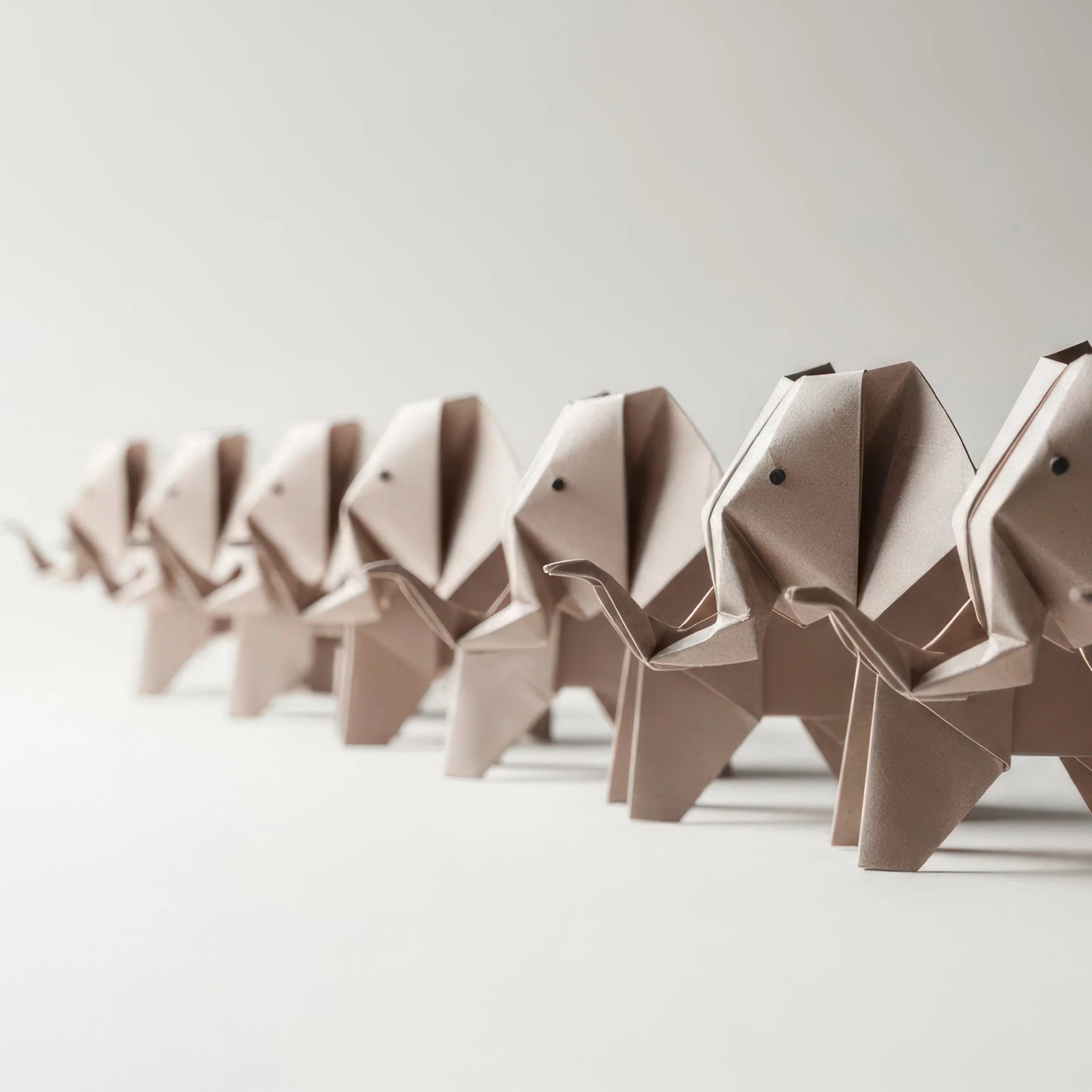 Team development session focused on strengthening collaboration and trust