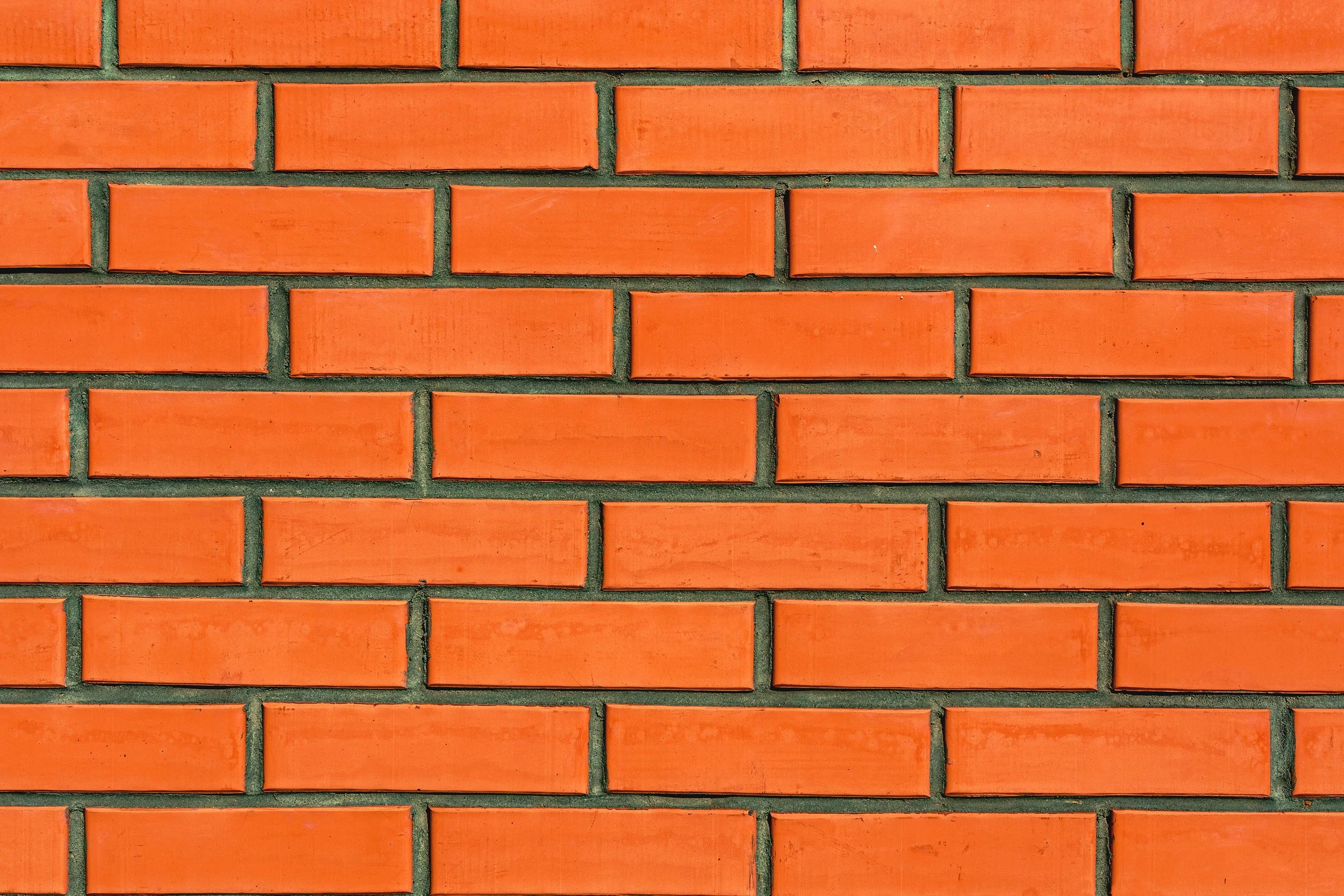 Translating The Walls We Build  |  video
