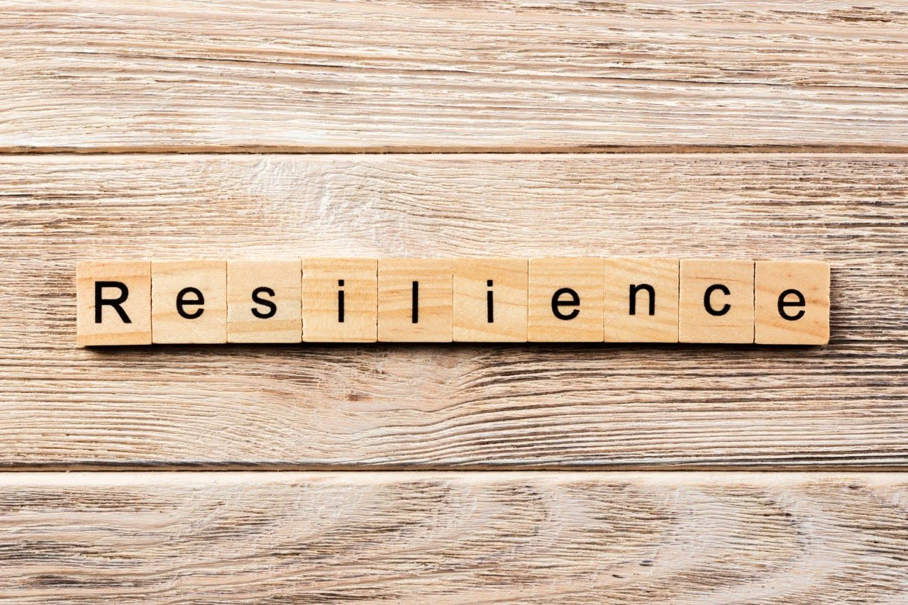 Resilience Is On The Ballot  |  video