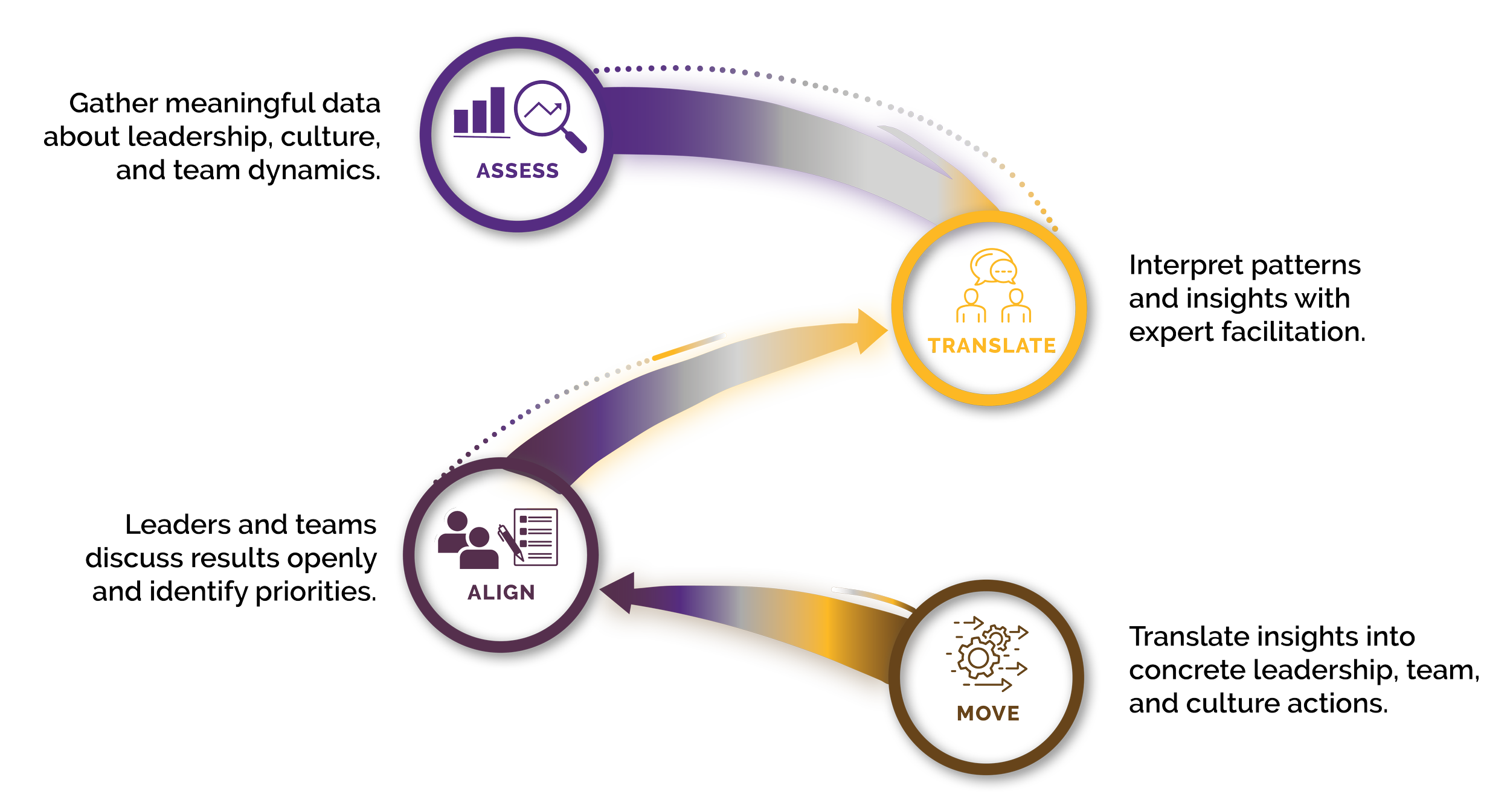Translator’s Consulting Group assessment model showing assess, translate, align, and move