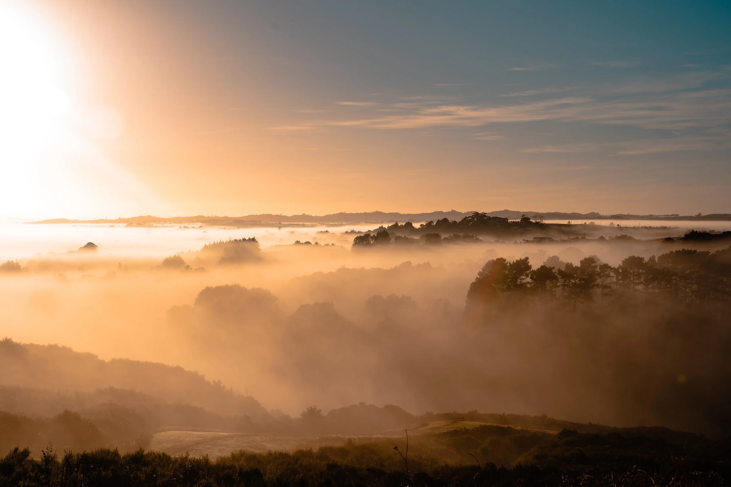 foggy whitford.jpg