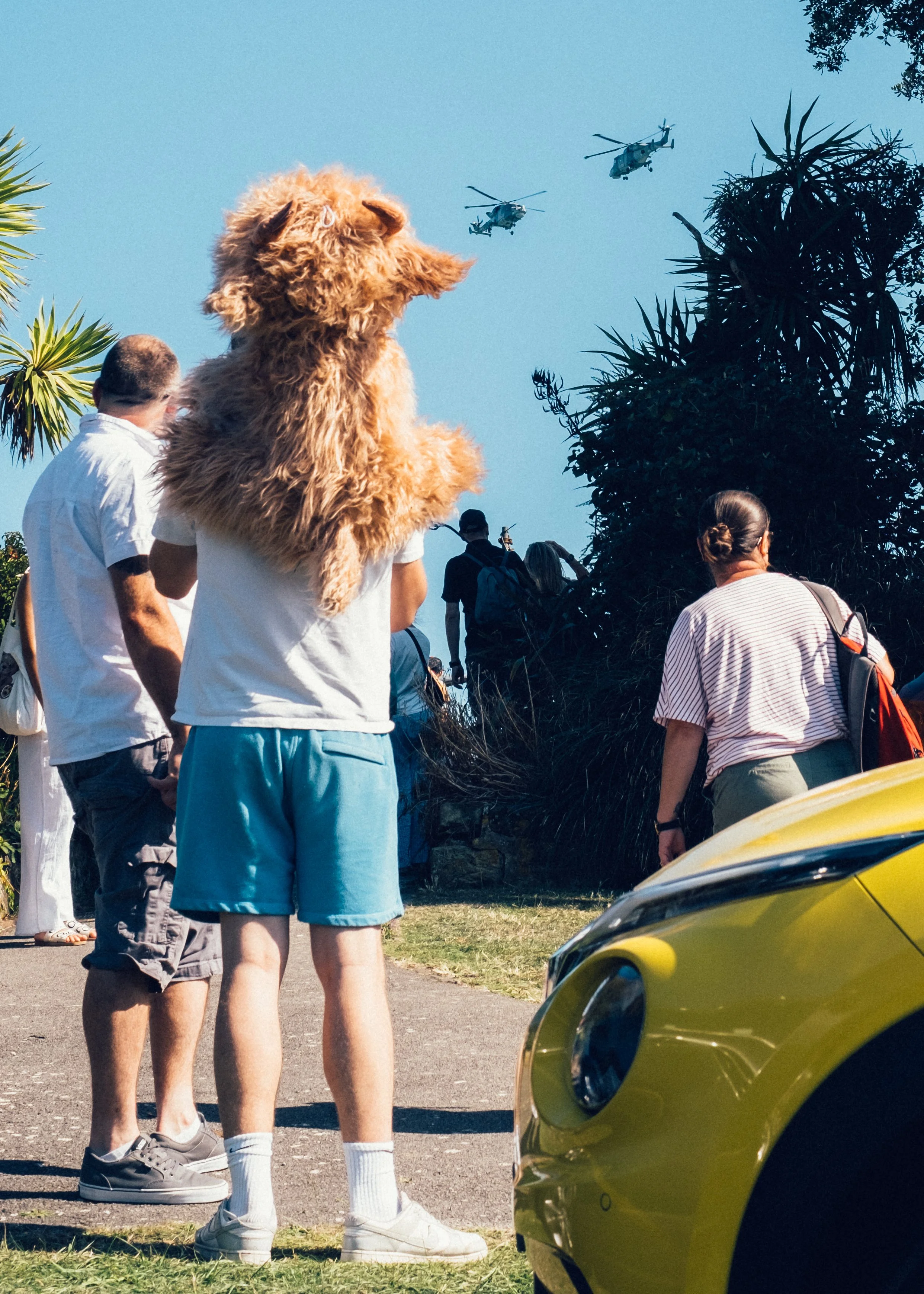 2025 Airshow for Eastbourne Airshow