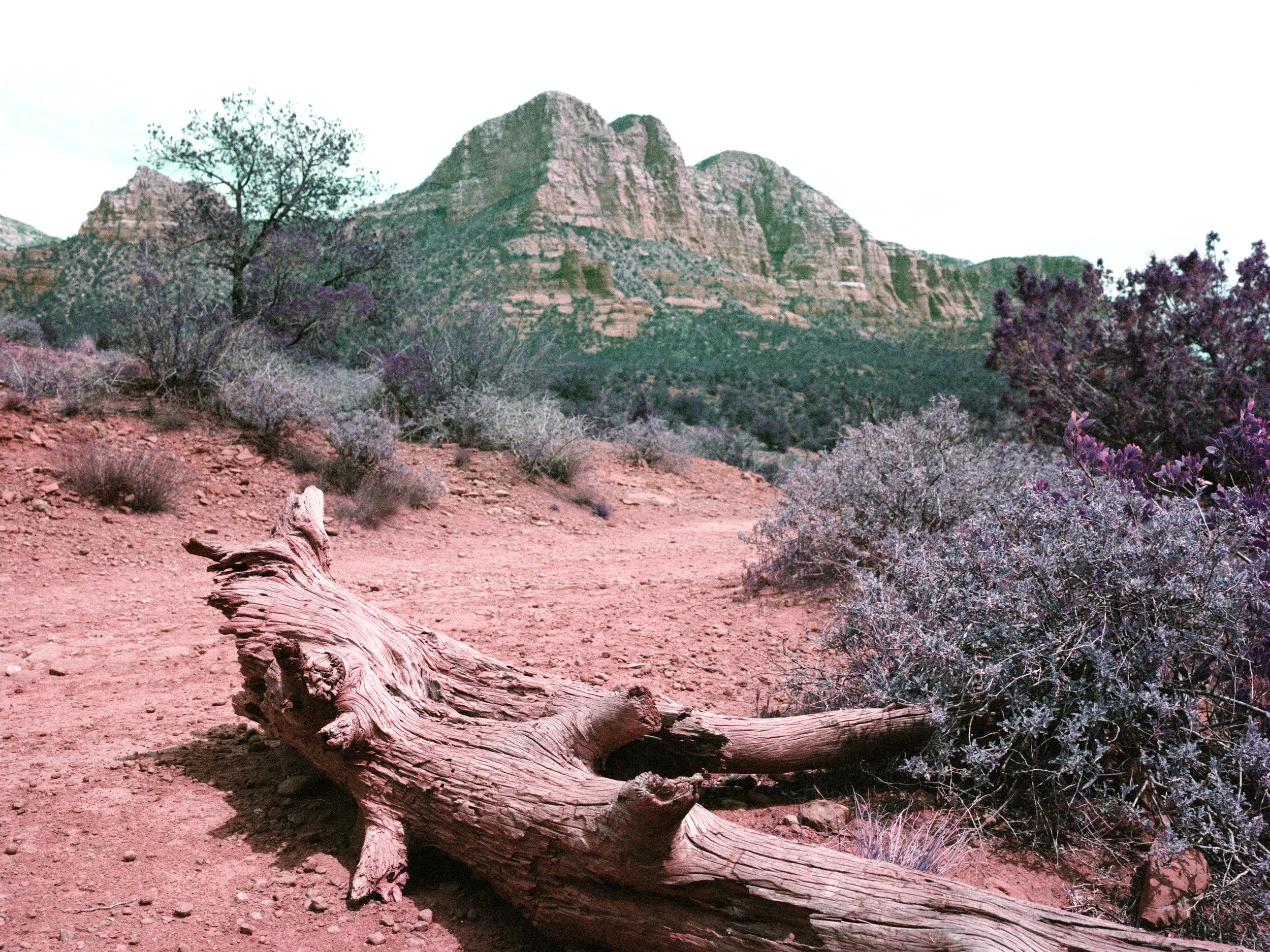 lomopurplesedona2.jpg