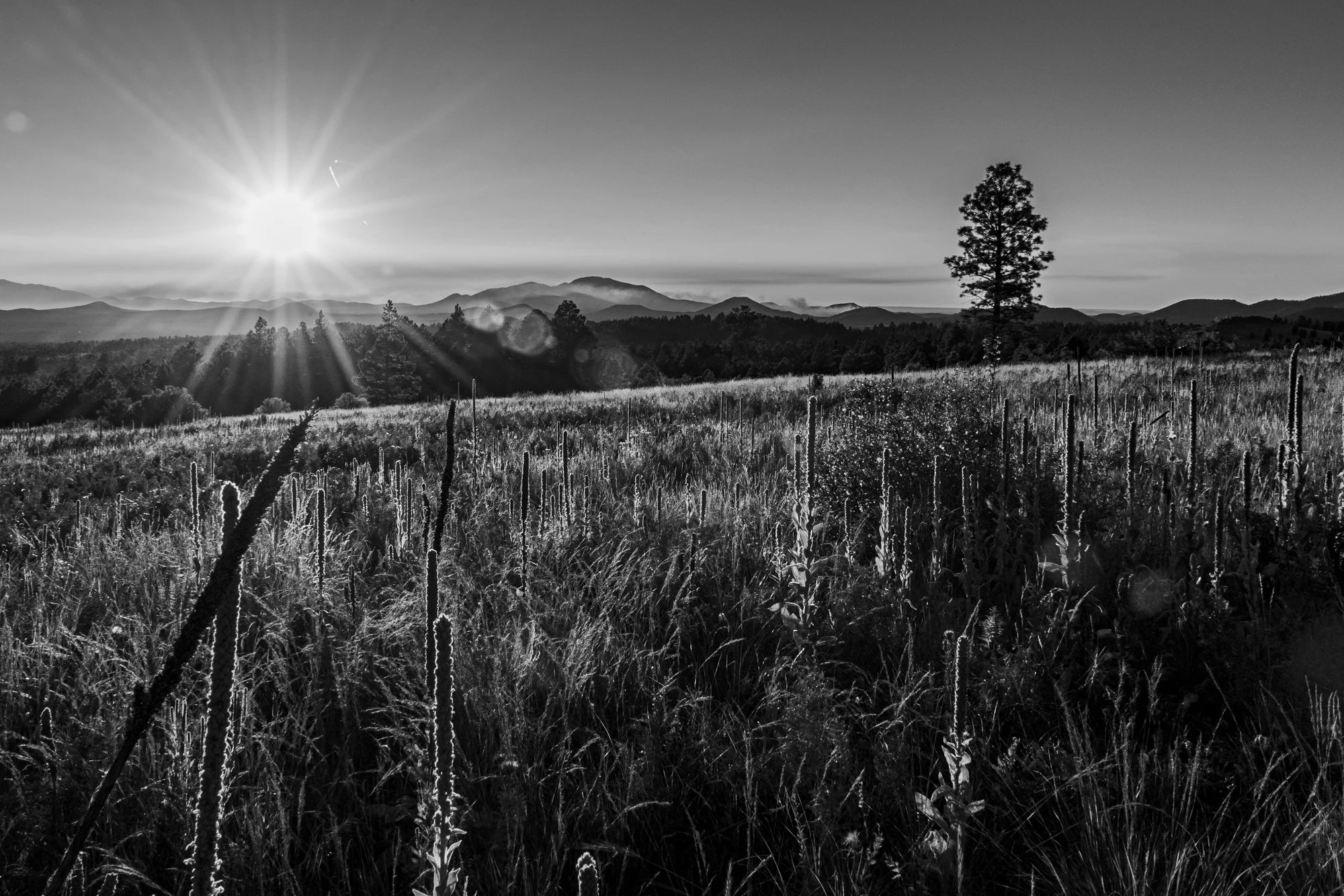 photo, art, monochrome, landscape, sunburst