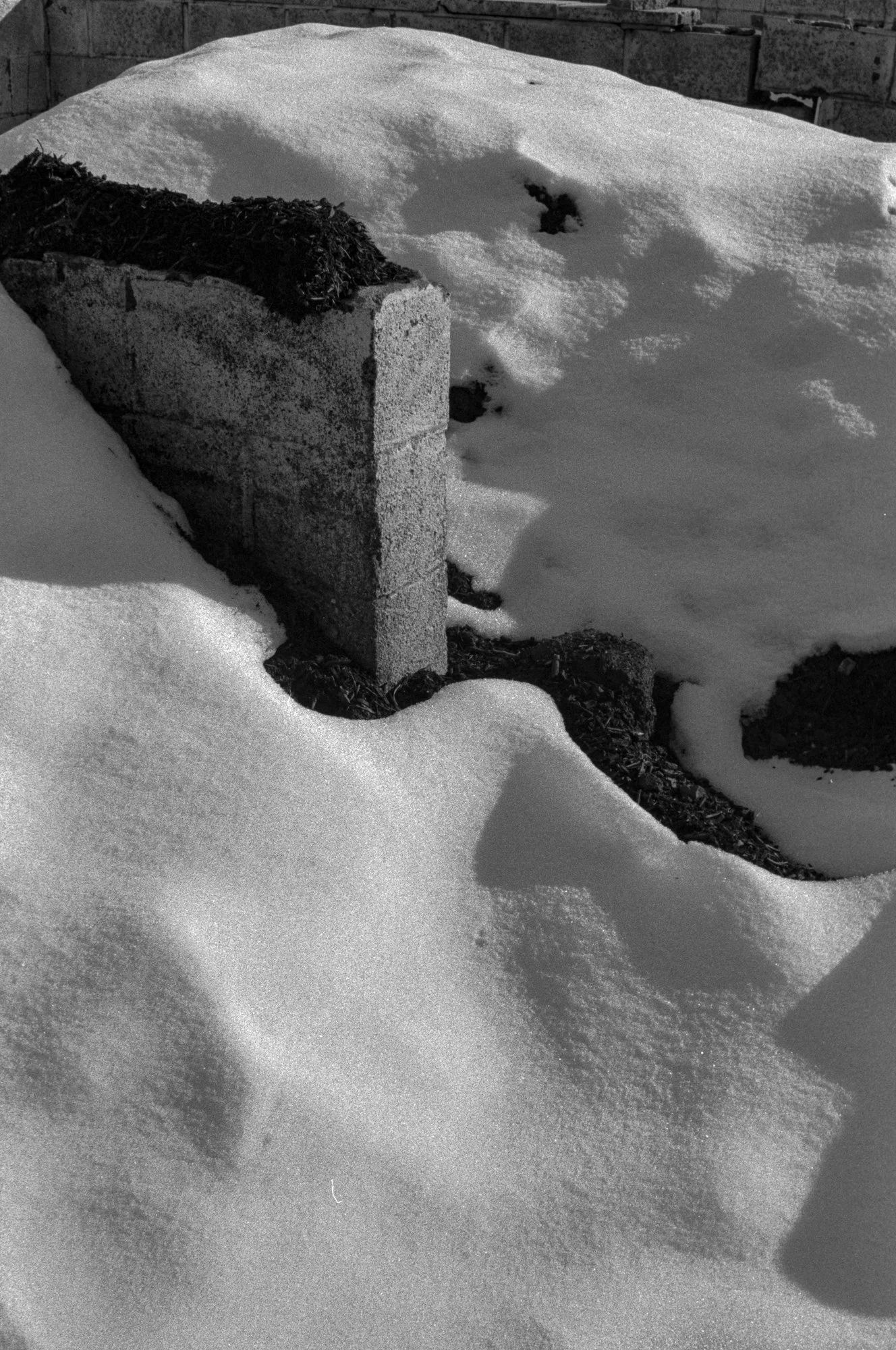 photo, art, monochrome, snow, contrasty