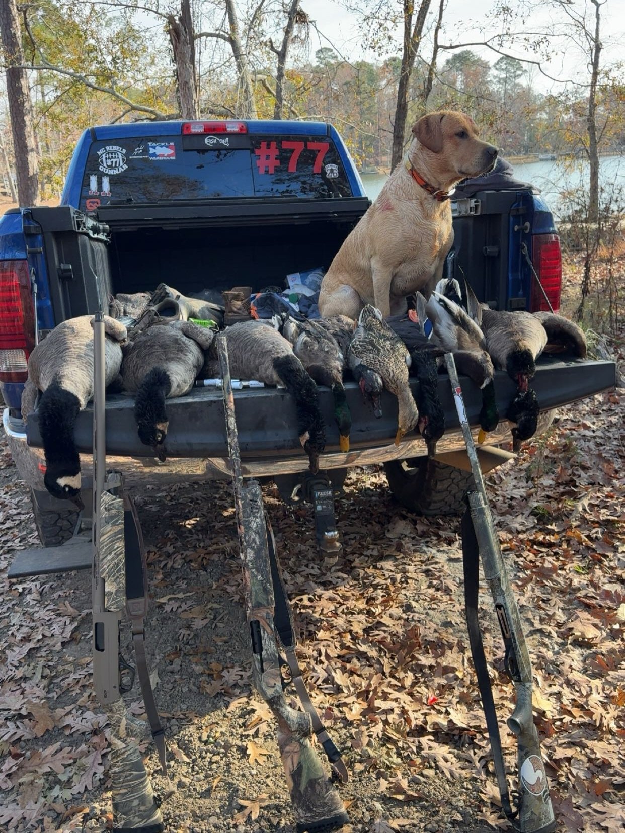 These are two pile pictures from the first split of the sc duck season! We had two decent days well at least for South Carolina standards. Duck hunting around here isn&rsquo;t the best due to not good fly ways. But the ducks that we do have we make i