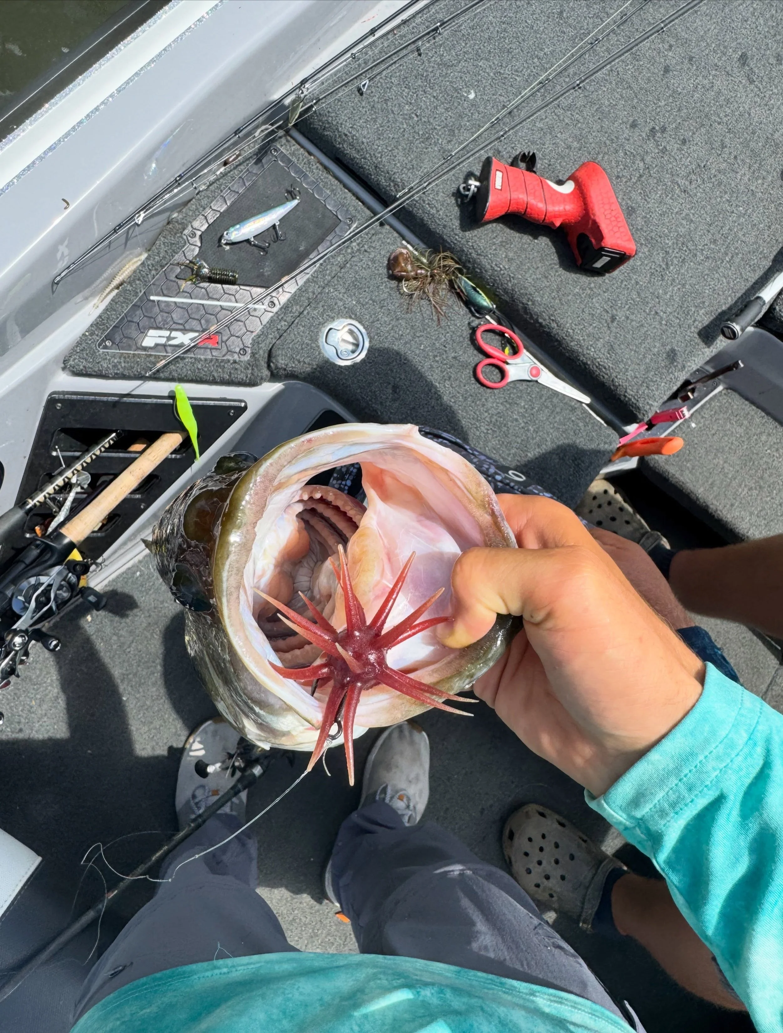 My buddy and I @gunman_07 did a bit of fun fishing and we wacked them! We had a slow start but ended up finding them later in the day. We had 25:2lbs with our best 5 fish. With a 7:15lb kicker caught by @gunman_07!

#lakemurray #loganmillsfishing #bi