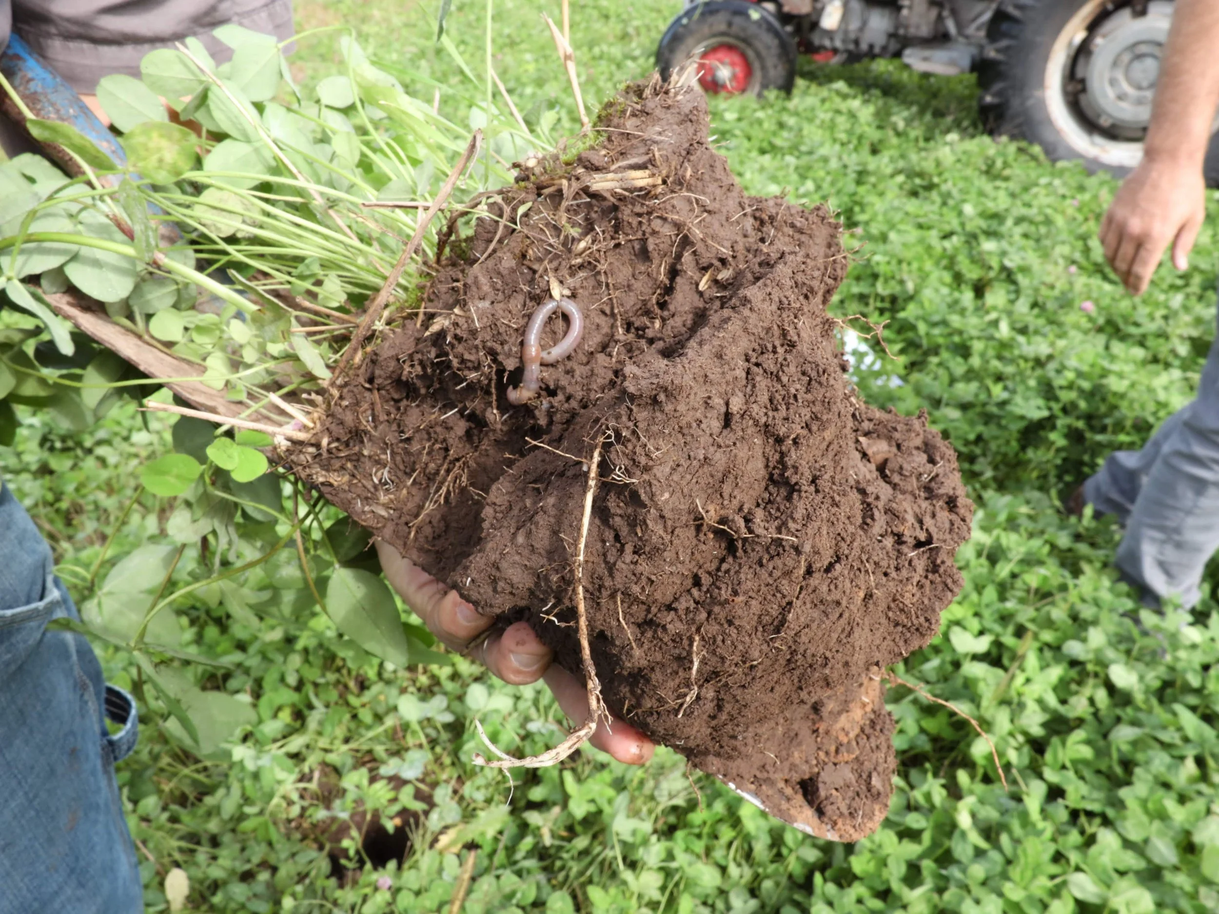 Wisconsin Farm Network Reduces Runoff — Healthy Lakes