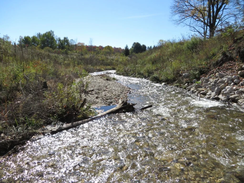Creek Example Restored creek carries less sediment into Lake Erie — Healthy Lakes