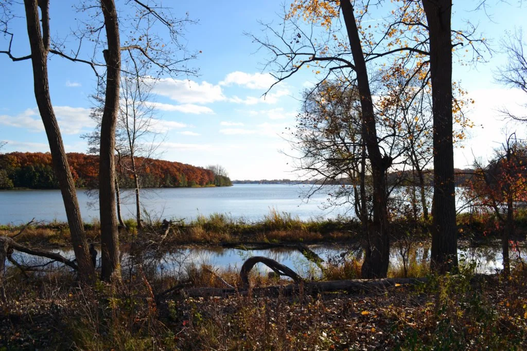 Preserving Humbug Marsh Receives Global Recognition