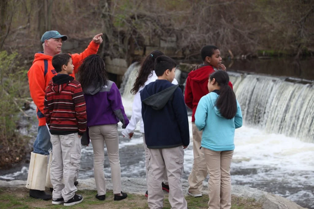 Dam removal improves water quality fish habitat in urban stream