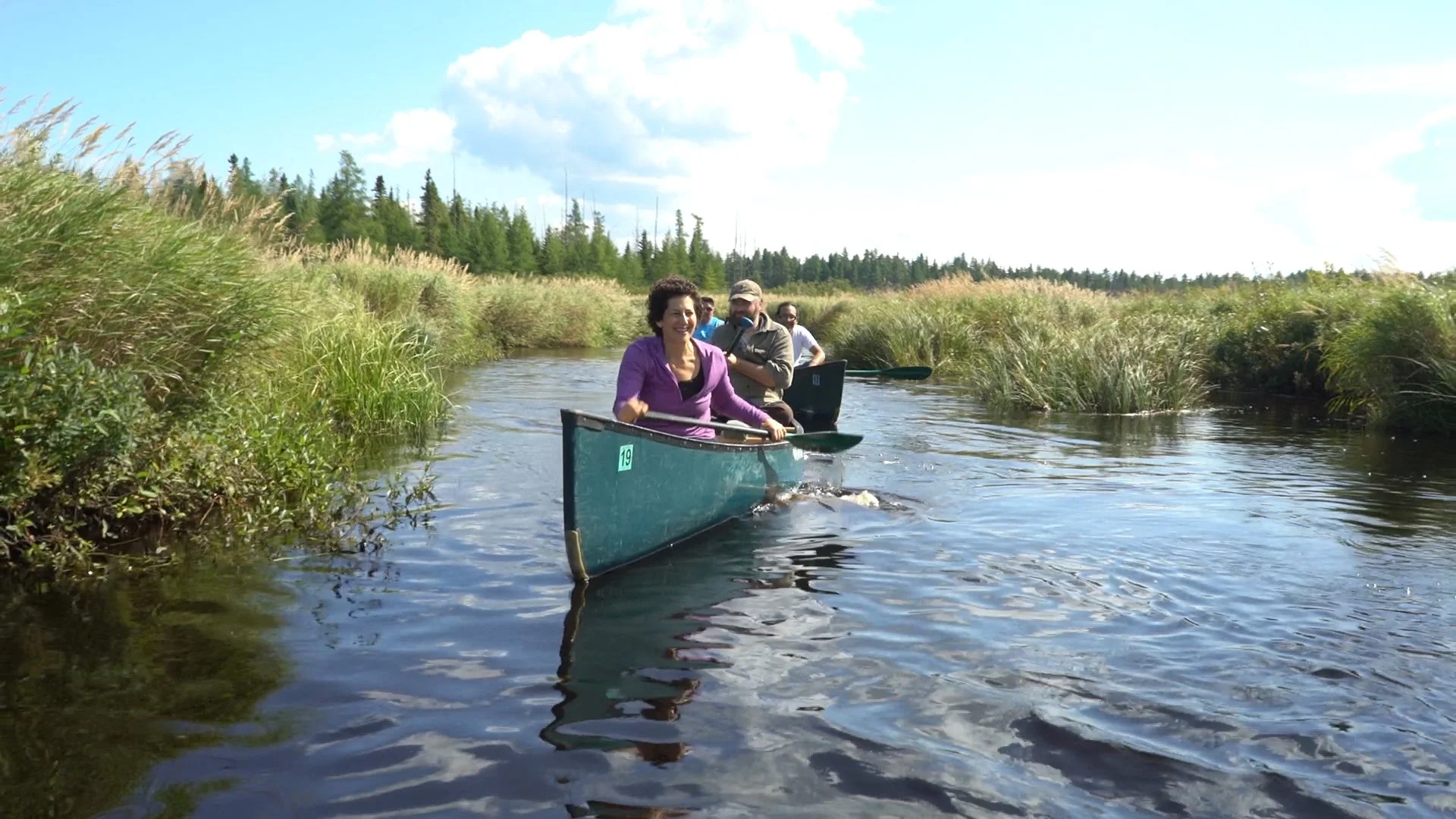 A group of four people out canoeing on a river surrounded by tall grass on a sunny day