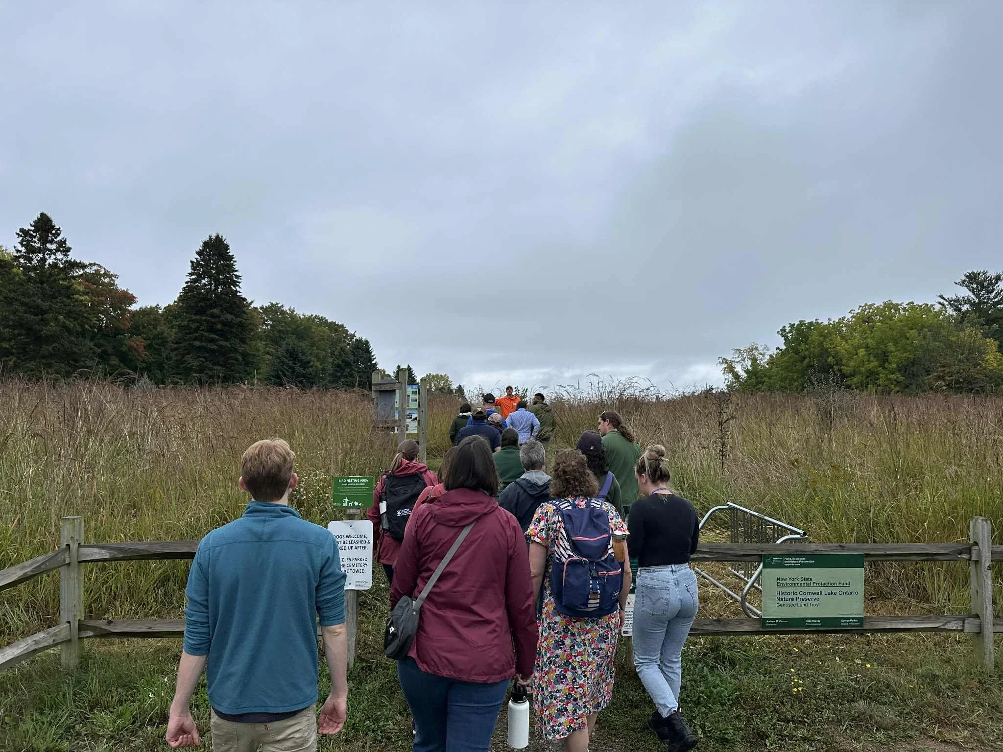 alt="a view of a group of people from the back on a cloudy day walking through a path of tall grass."